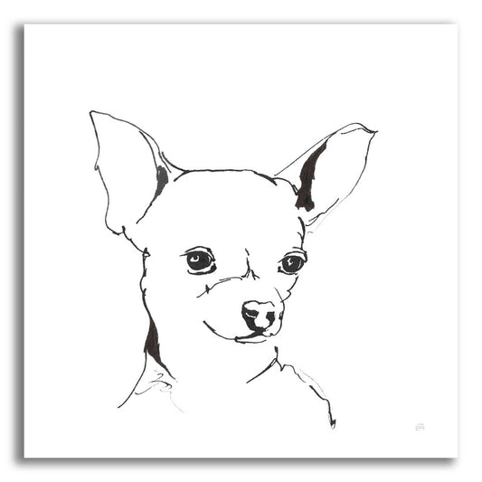 Epic Art 'Line Dog Chihuahua' by Chris Paschke, Acrylic Glass Wall Art