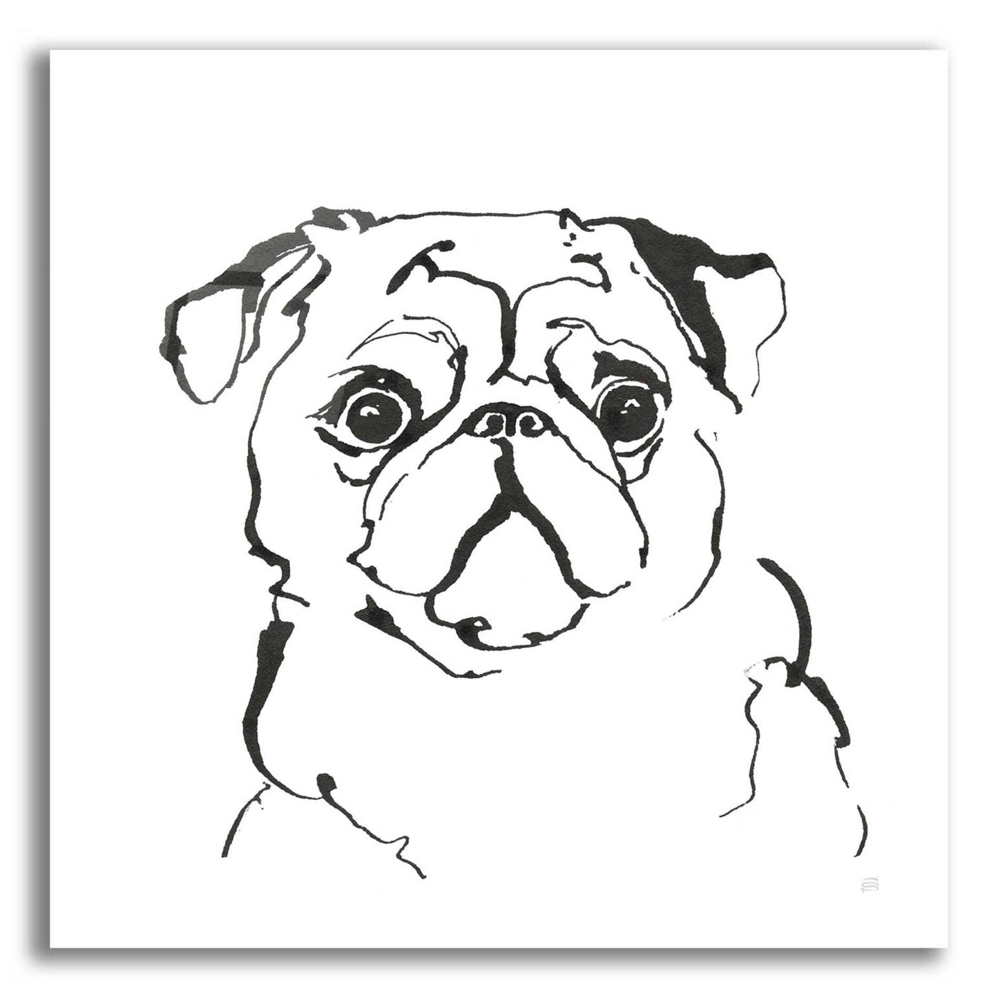 Epic Art 'Line Dog Pug I' by Chris Paschke, Acrylic Glass Wall Art