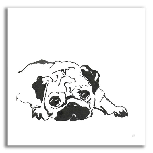 Epic Art 'Line Dog Pug II' by Chris Paschke, Acrylic Glass Wall Art