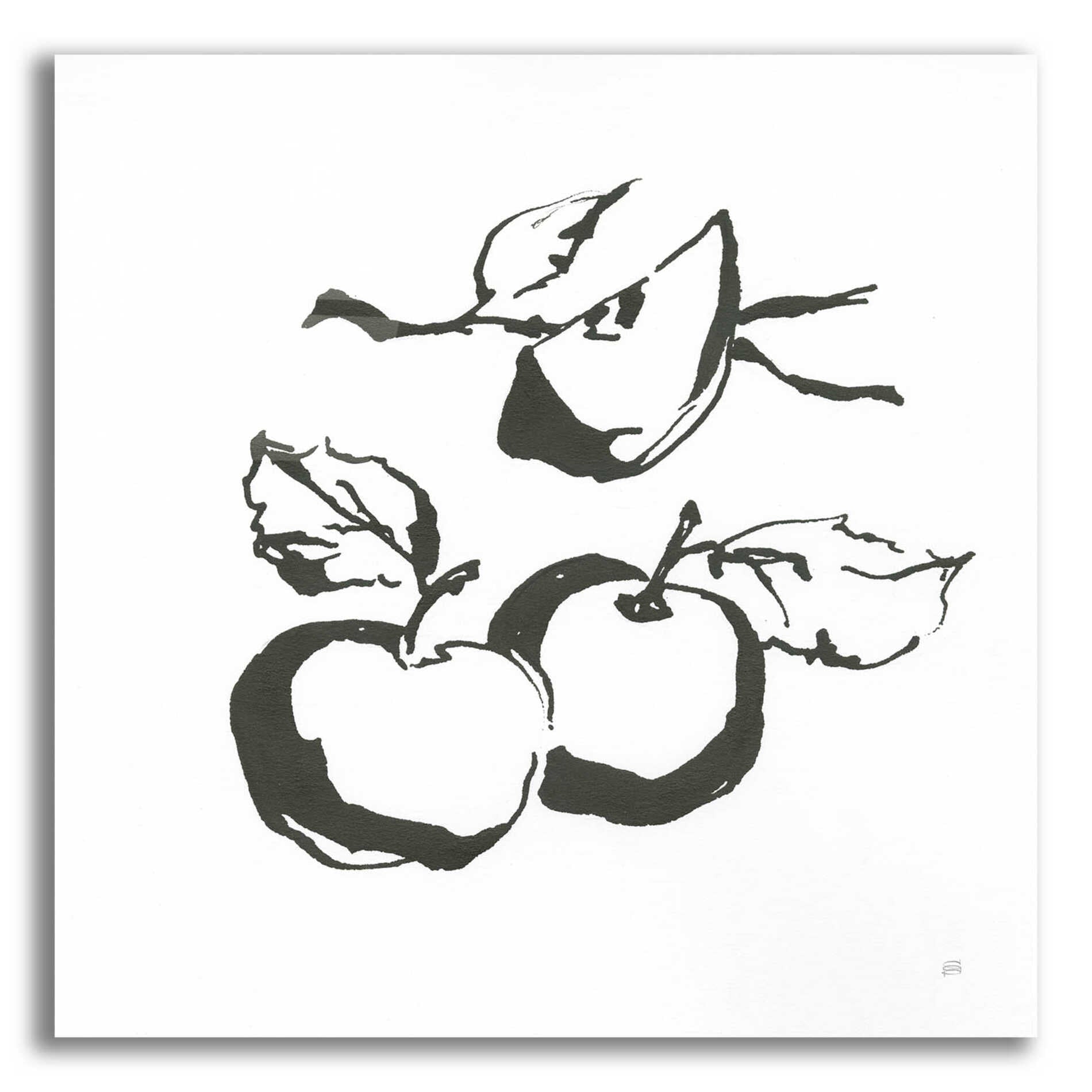 Epic Art 'Apples BW' by Chris Paschke, Acrylic Glass Wall Art