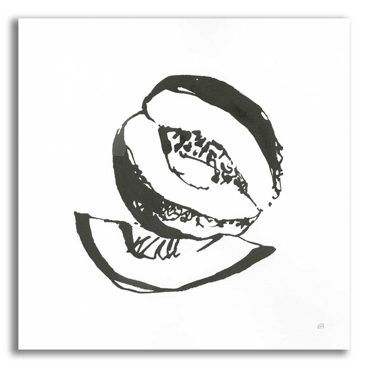 Epic Art 'Cantaloupe I BW' by Chris Paschke, Acrylic Glass Wall Art