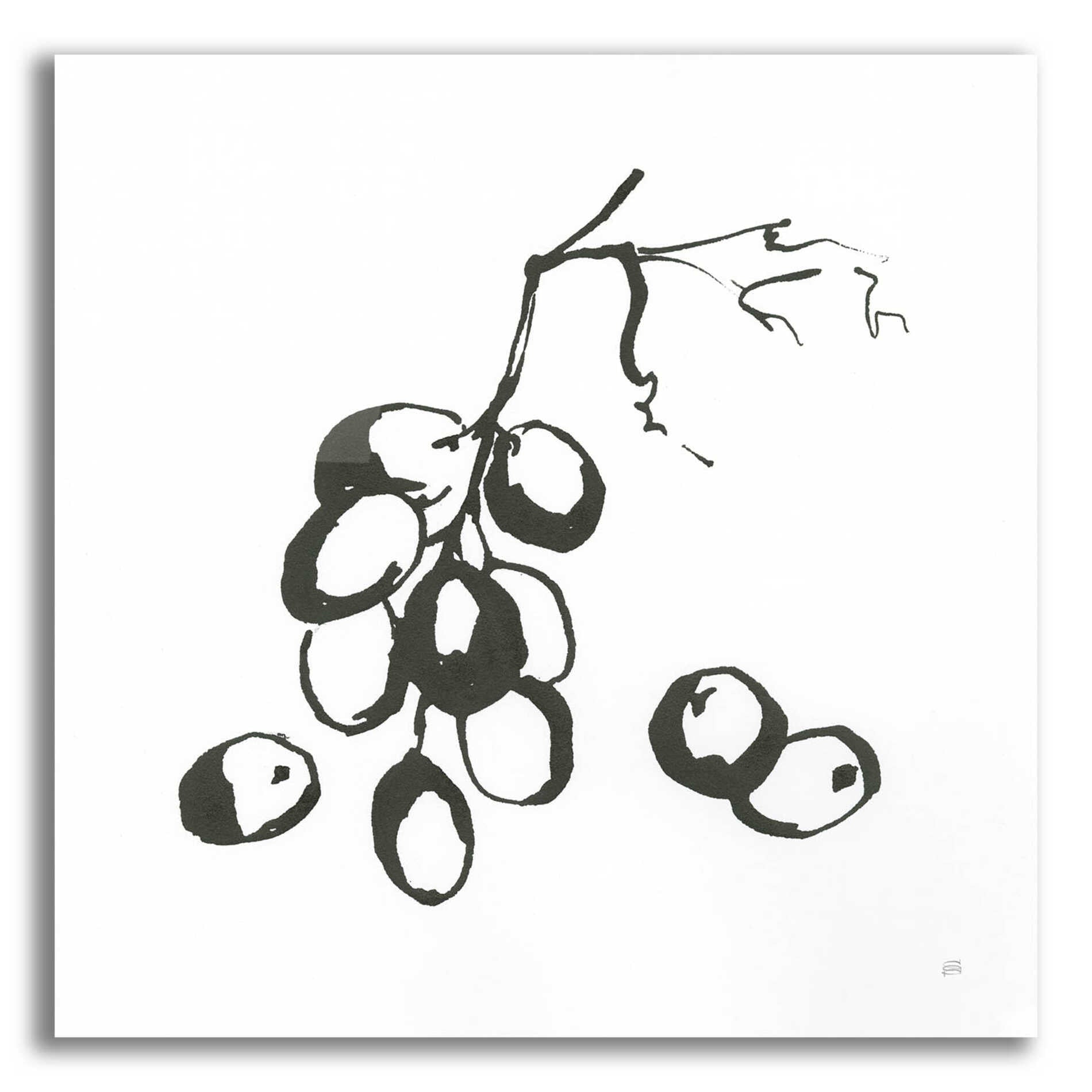 Epic Art 'Grapes I BW' by Chris Paschke, Acrylic Glass Wall Art