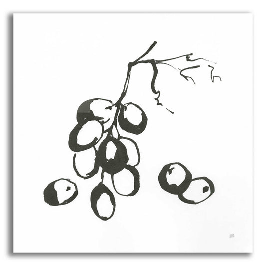 Epic Art 'Grapes I BW' by Chris Paschke, Acrylic Glass Wall Art