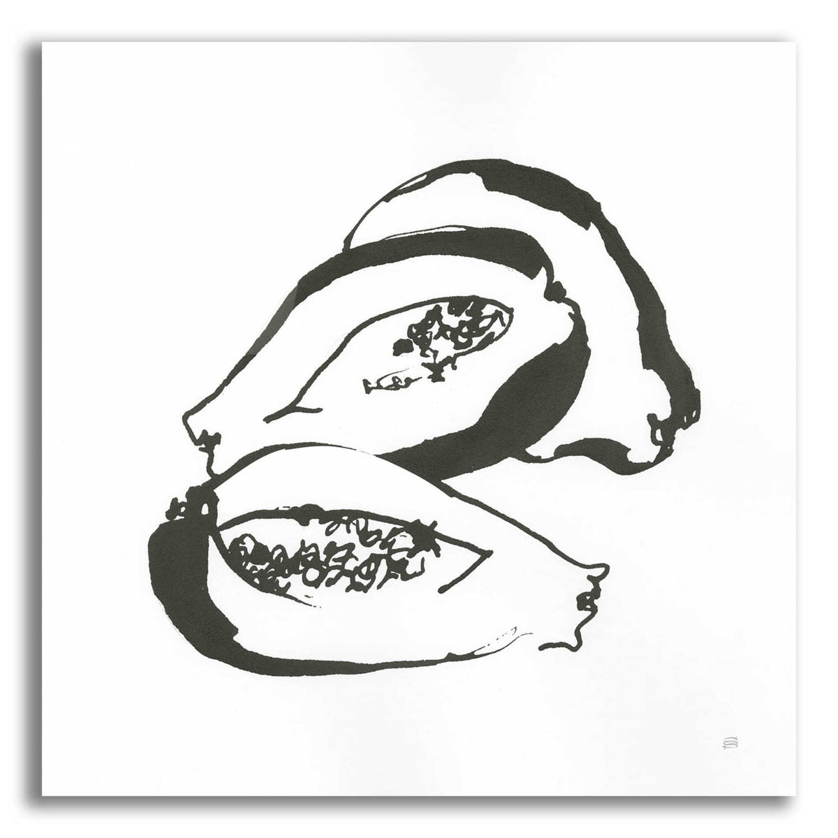 Epic Art 'Papaya BW' by Chris Paschke, Acrylic Glass Wall Art,36x36