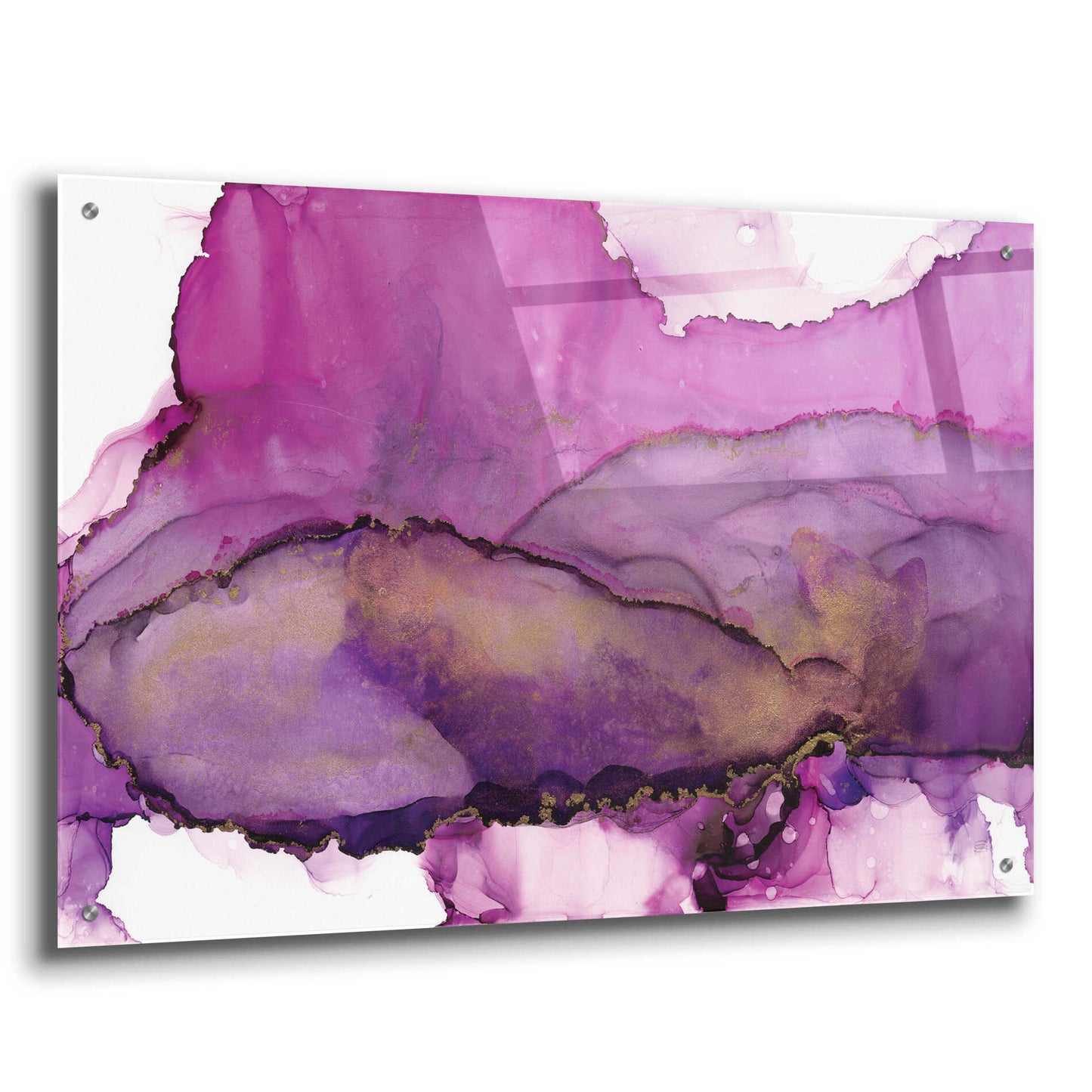 Epic Art 'Violet' by Chris Paschke, Acrylic Glass Wall Art,36x24