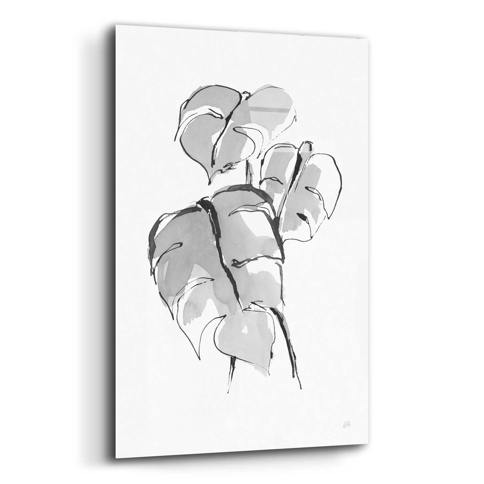 Epic Art 'Wash Split Leaf II' by Chris Paschke, Acrylic Glass Wall Art,12x16