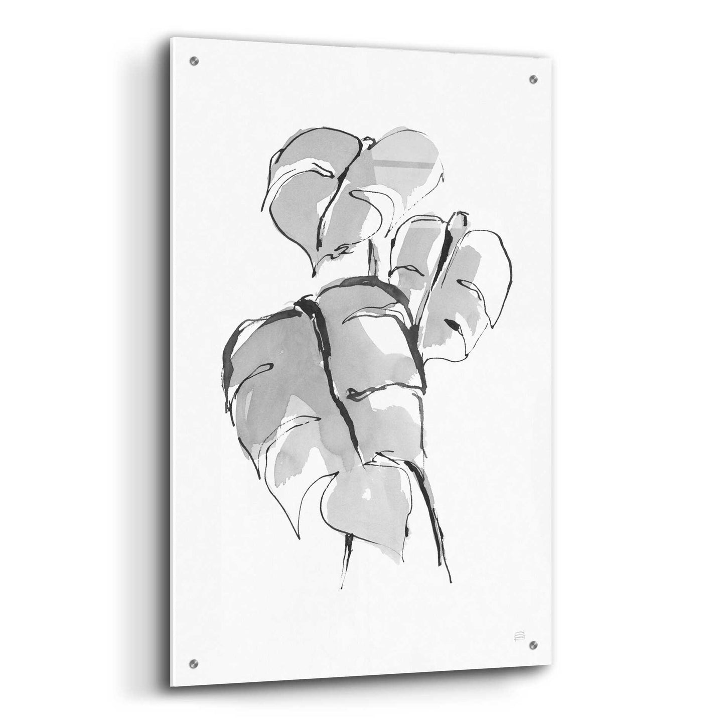 Epic Art 'Wash Split Leaf II' by Chris Paschke, Acrylic Glass Wall Art,24x36