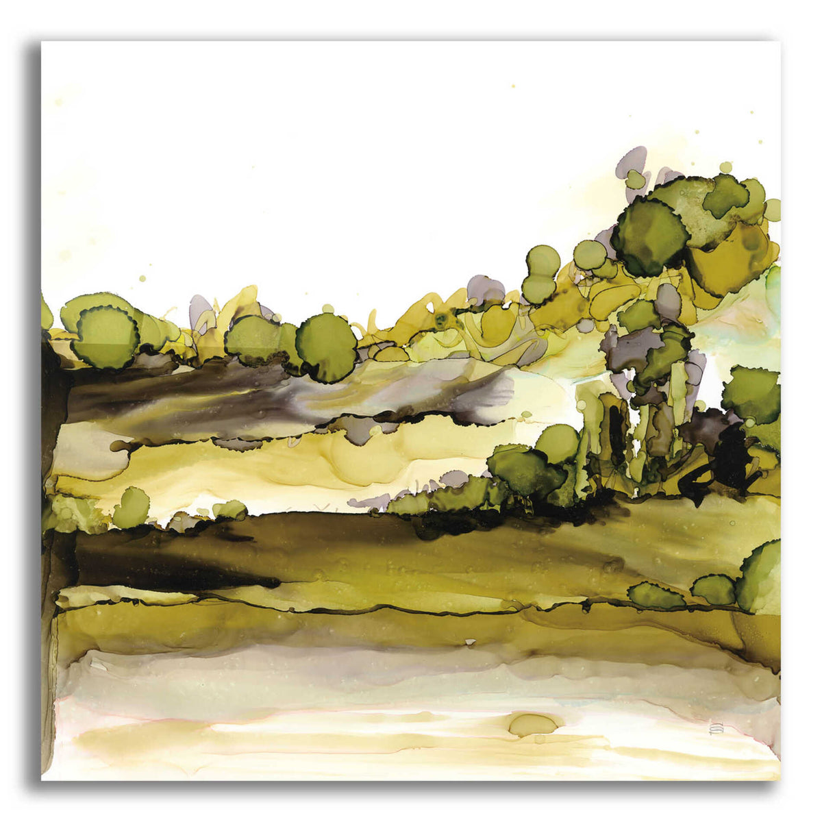Epic Art 'Greenscape II' by Chris Paschke, Acrylic Glass Wall Art,12x12