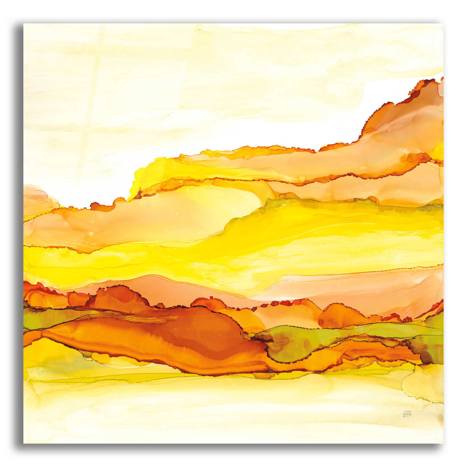 Epic Art 'Yellowscape I' by Chris Paschke, Acrylic Glass Wall Art,12x12