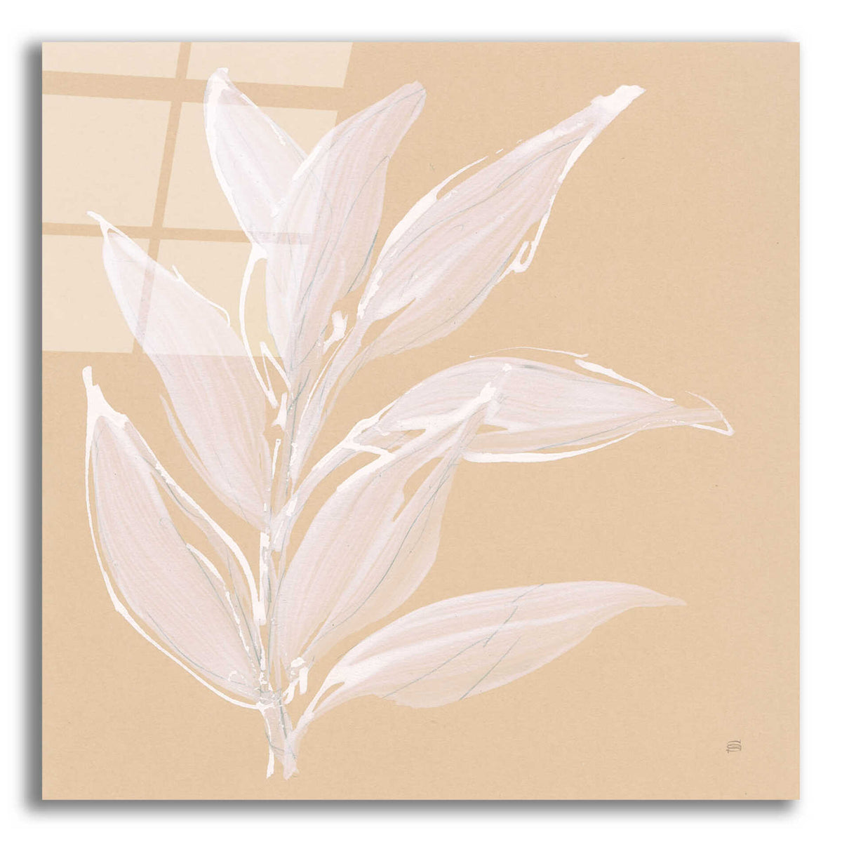 Epic Art 'Leaf Study II' by Chris Paschke, Acrylic Glass Wall Art