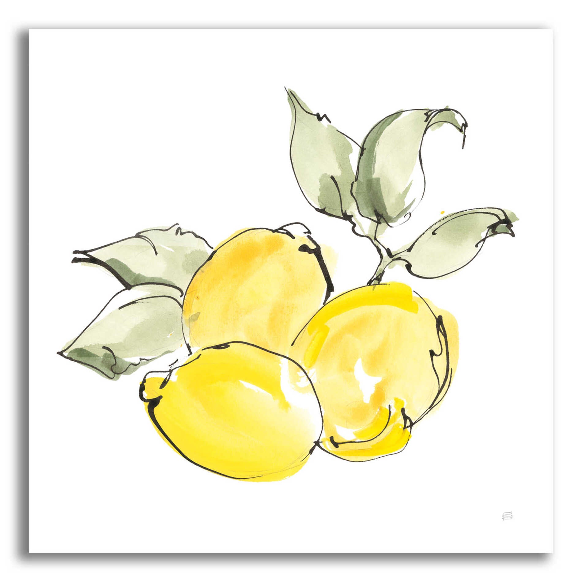 Epic Art 'Lemons II' by Chris Paschke, Acrylic Glass Wall Art