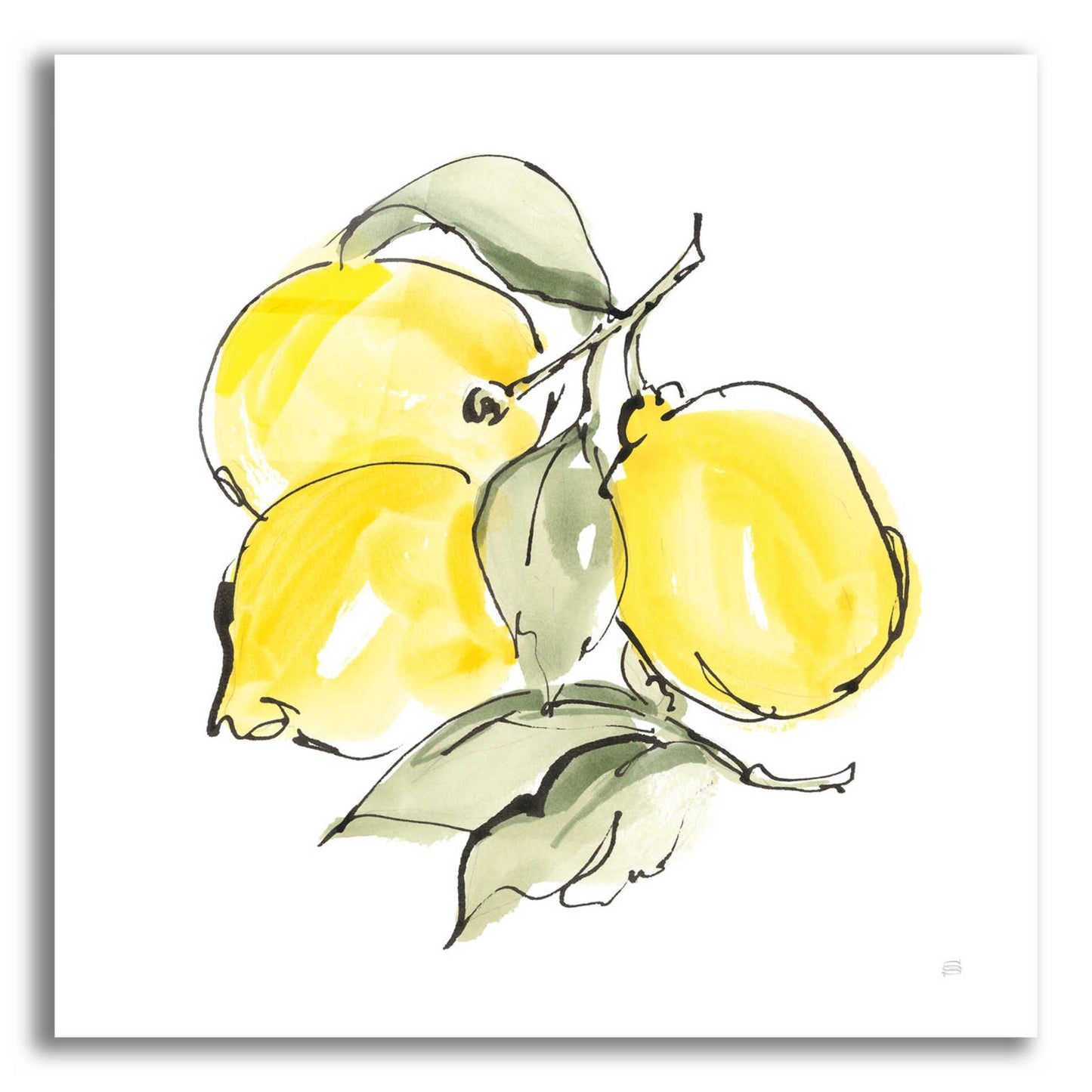 Epic Art 'Lemons III' by Chris Paschke, Acrylic Glass Wall Art