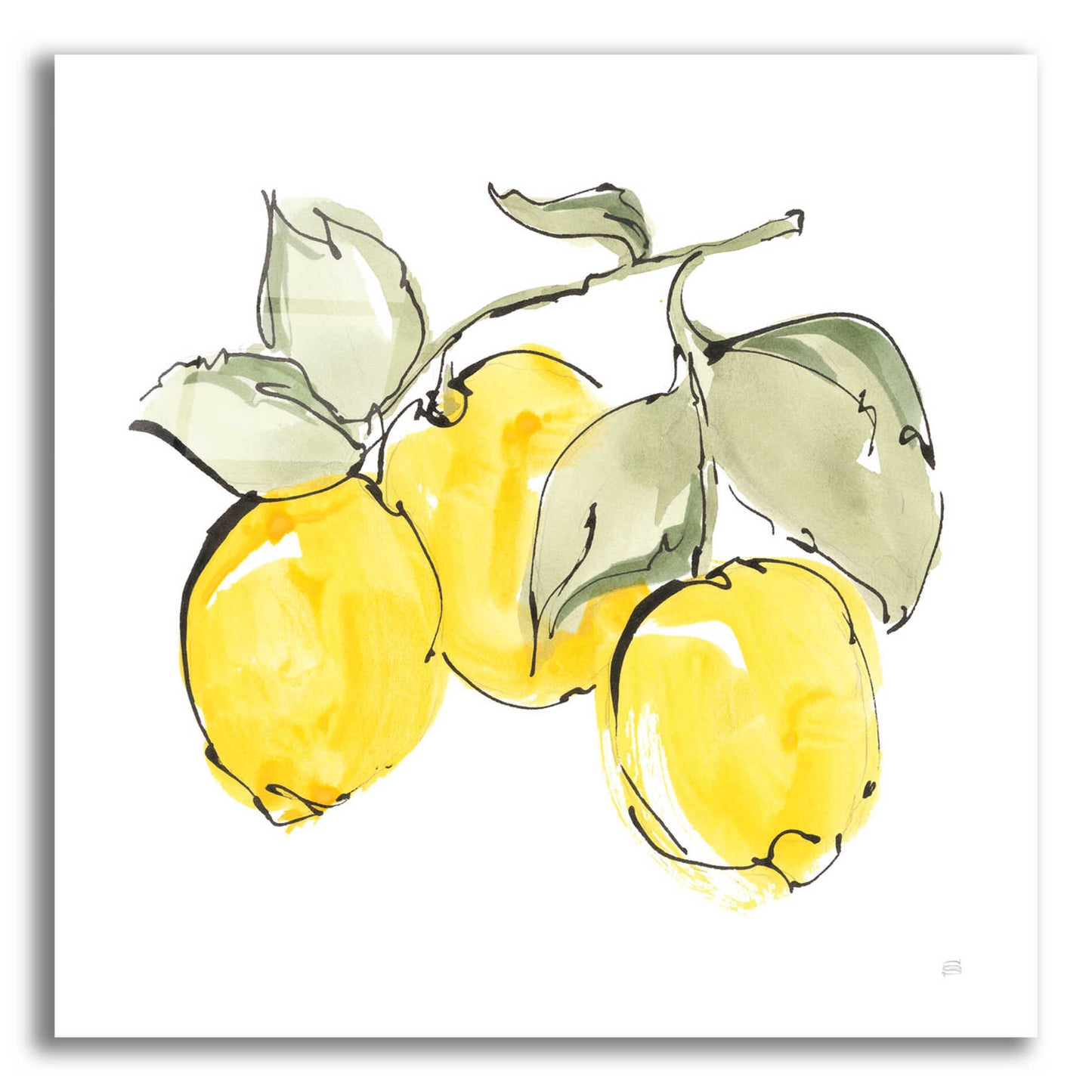 Epic Art 'Lemons IV' by Chris Paschke, Acrylic Glass Wall Art,12x12