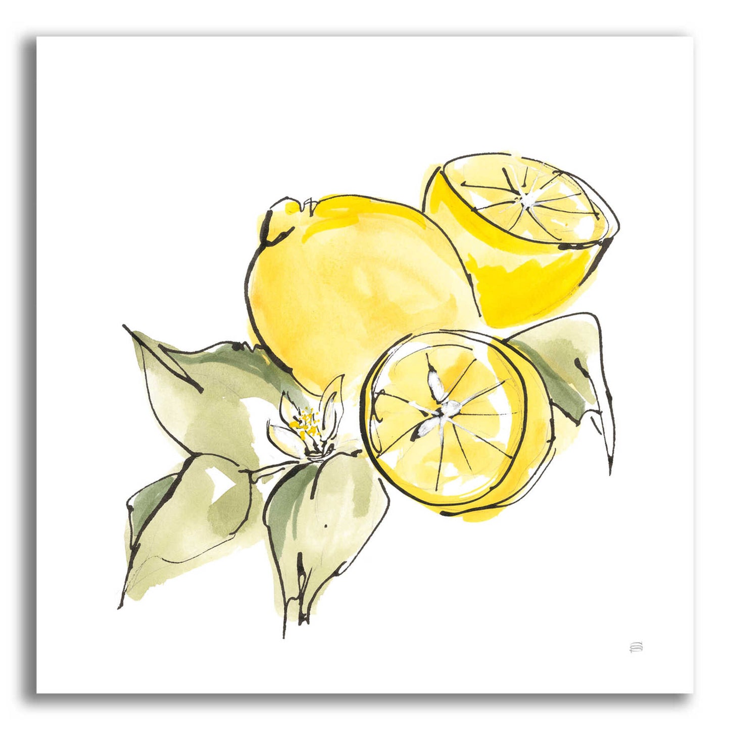 Epic Art 'Lemon Still Life I' by Chris Paschke, Acrylic Glass Wall Art