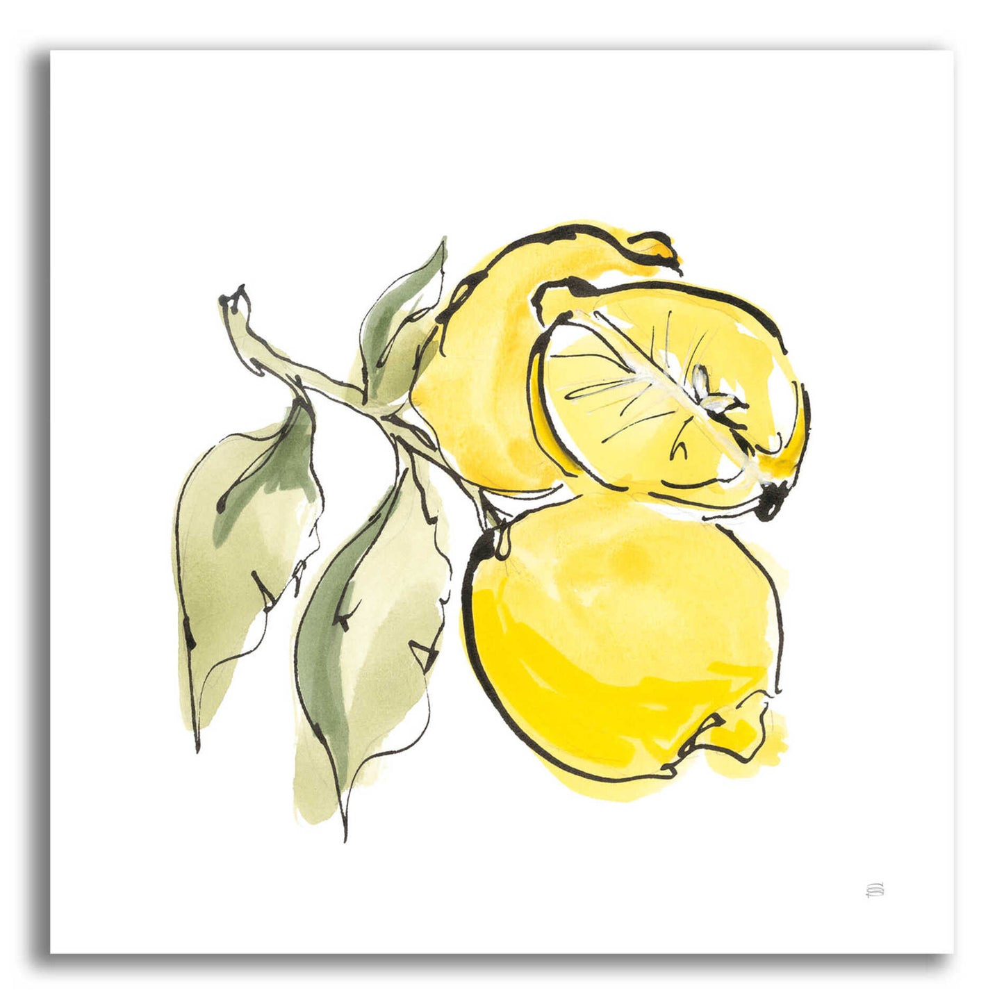 Epic Art 'Lemon Still Life II' by Chris Paschke, Acrylic Glass Wall Art