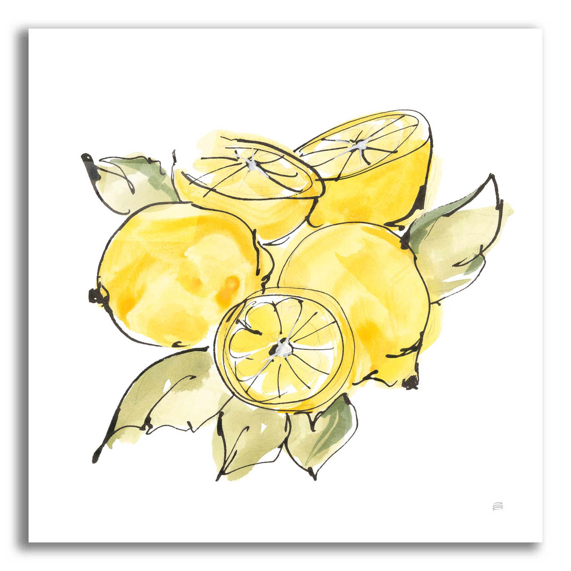 Epic Art 'Lemon Still Life IV' by Chris Paschke, Acrylic Glass Wall Art