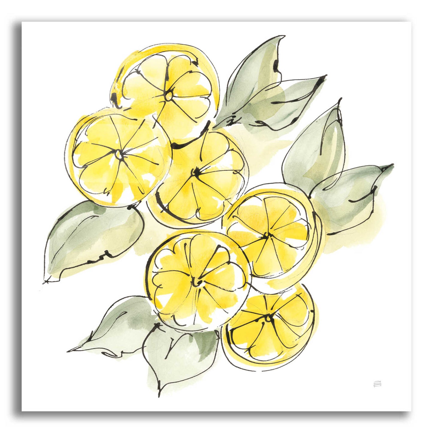 Epic Art 'Cut Lemons II' by Chris Paschke, Acrylic Glass Wall Art,36x36