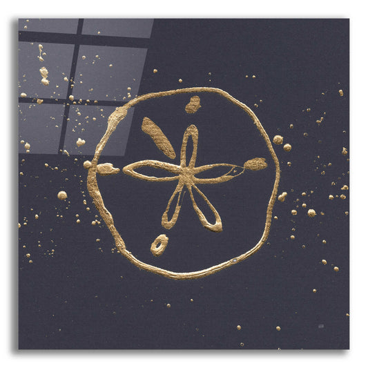 Epic Art 'Gold Sand Dollar I' by Chris Paschke, Acrylic Glass Wall Art