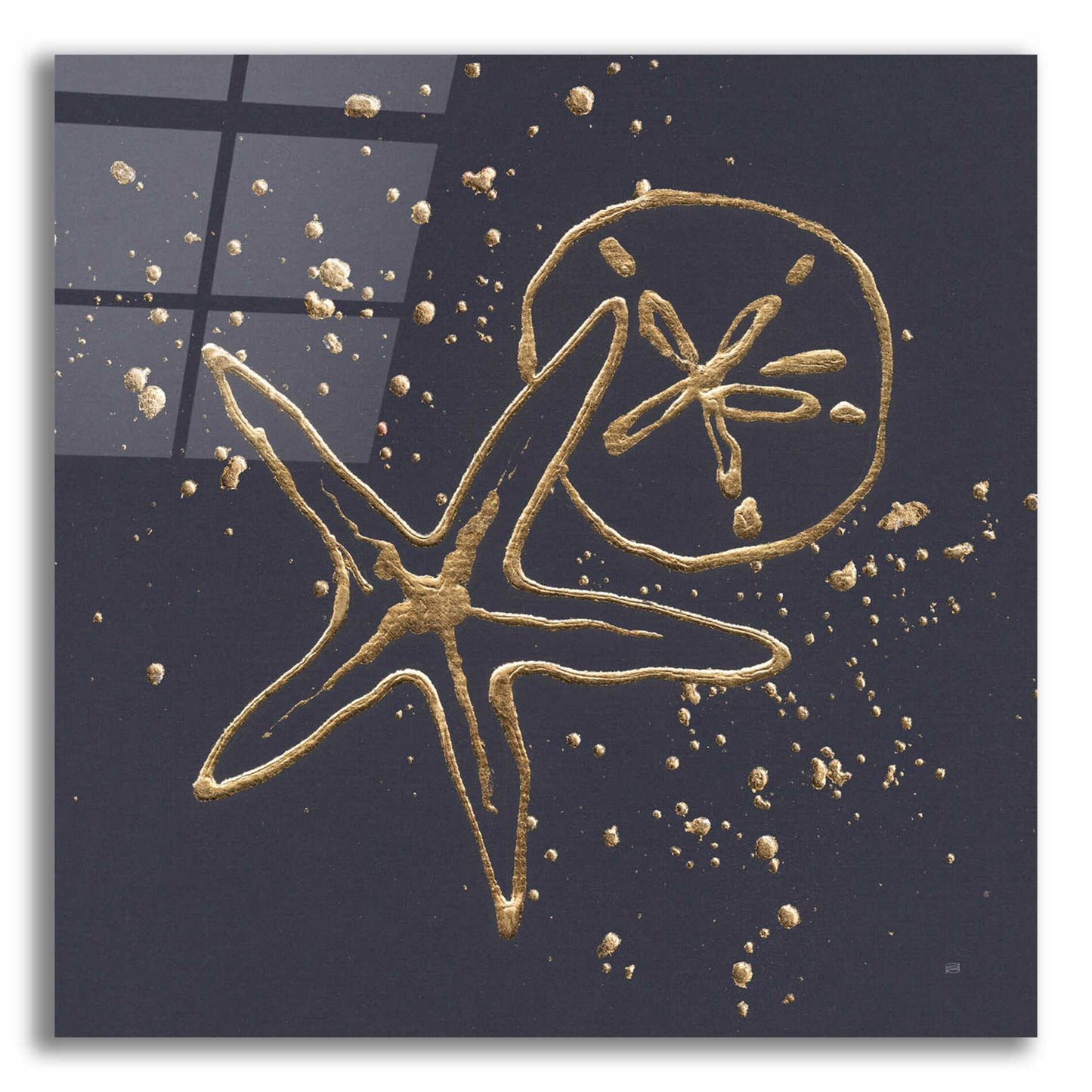 Epic Art 'Gold Sand Dollar Starfish' by Chris Paschke, Acrylic Glass Wall Art,36x36