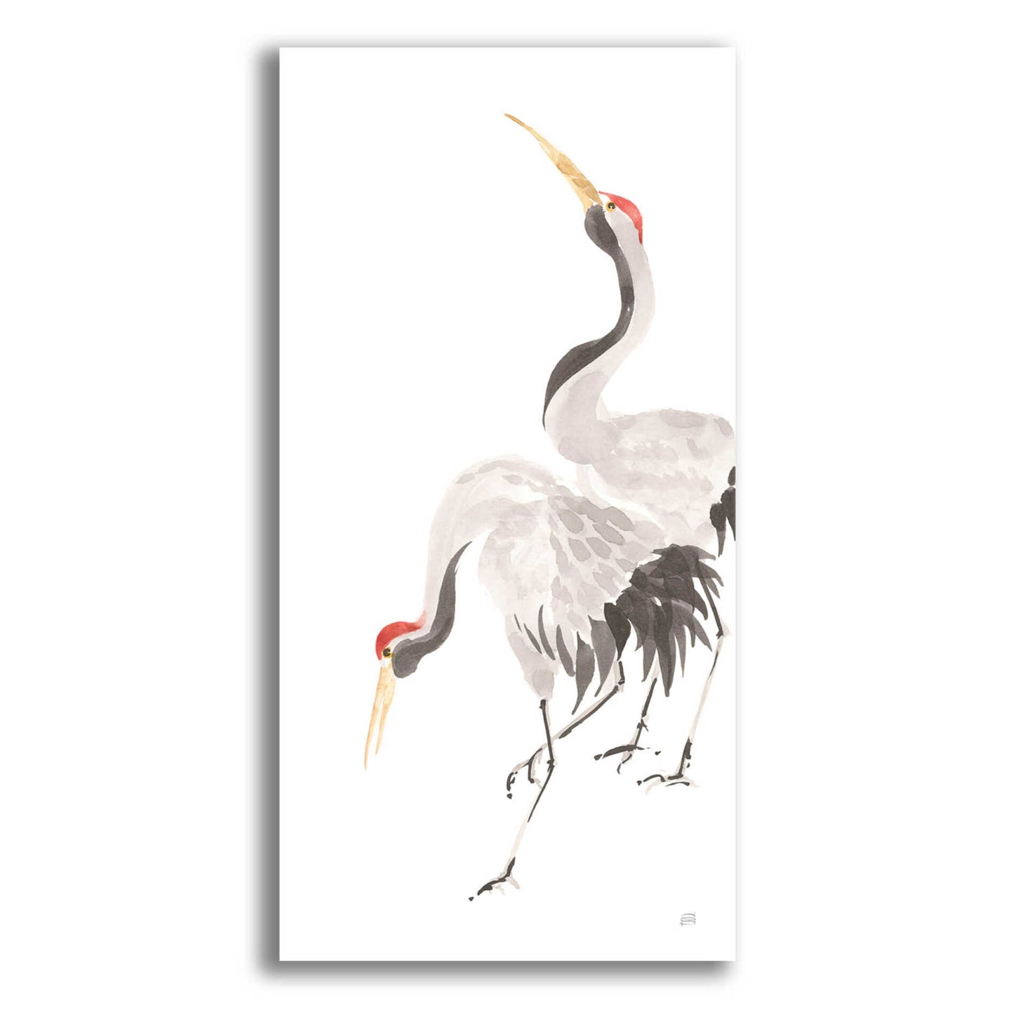 Epic Art 'Scroll Crane IV' by Chris Paschke, Acrylic Glass Wall Art,12x24