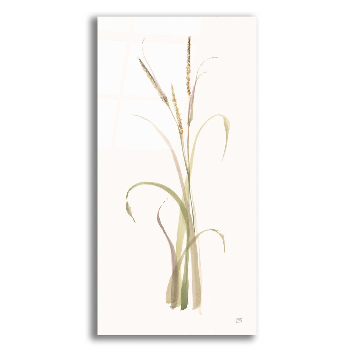 Epic Art 'Lyme Grass' by Chris Paschke, Acrylic Glass Wall Art,12x24