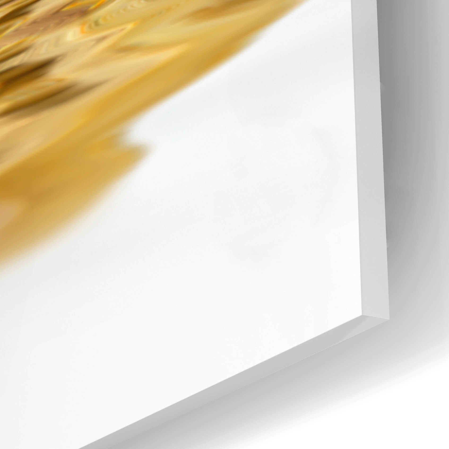 Epic Art 'Liquid Gold' by Andrea Haase Acrylic Glass Wall Art,16x12