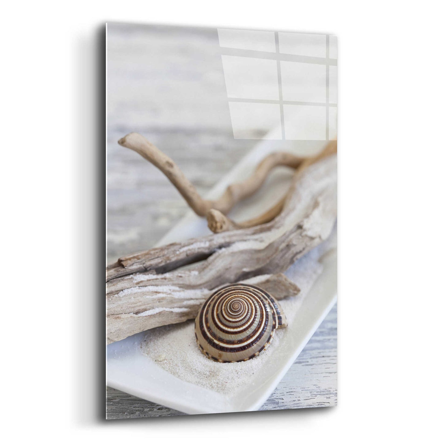 Epic Art 'Zen Style Driftwood Seashell Still' by Andrea Haase Acrylic Glass Wall Art,12x16