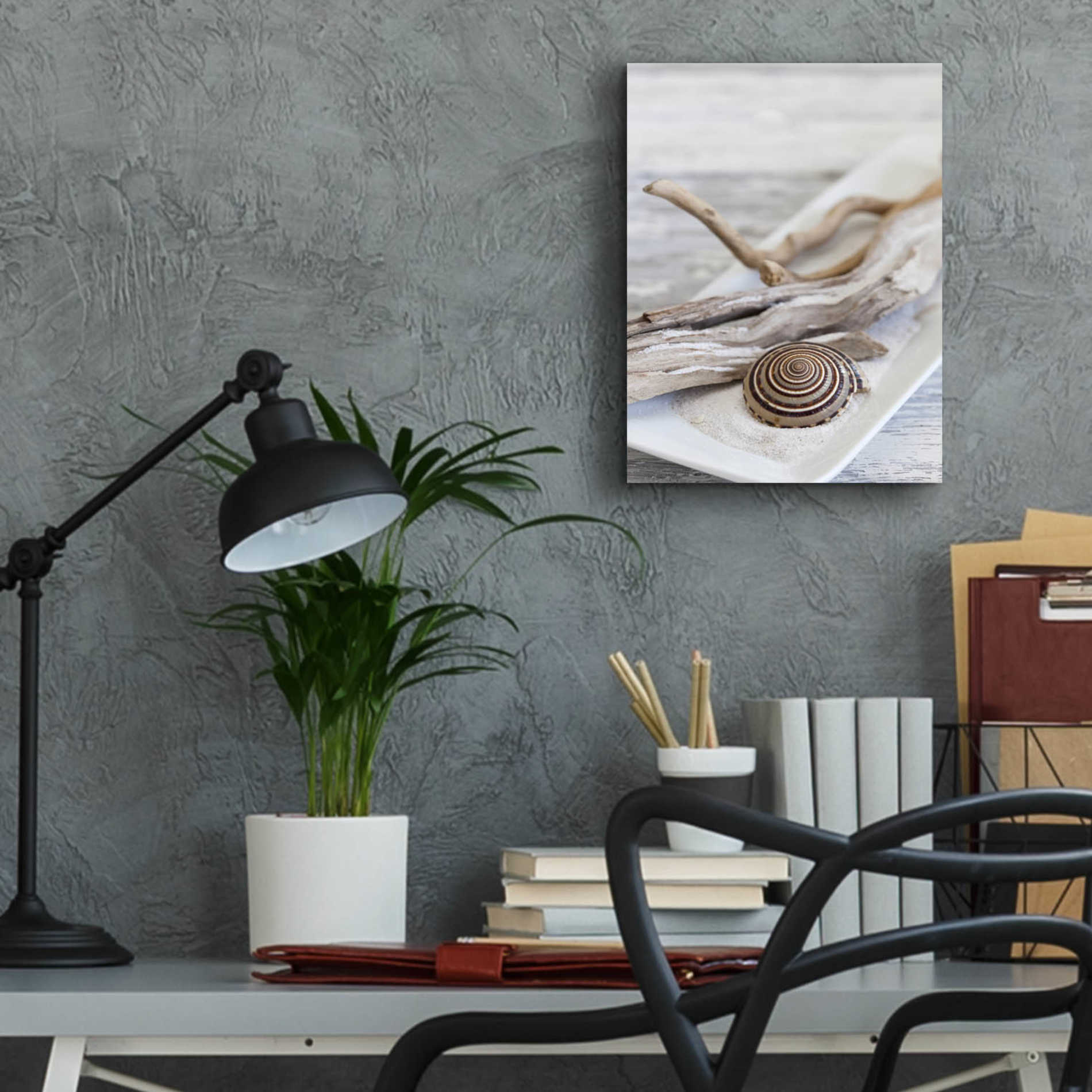 Epic Art 'Zen Style Driftwood Seashell Still' by Andrea Haase Acrylic Glass Wall Art,12x16