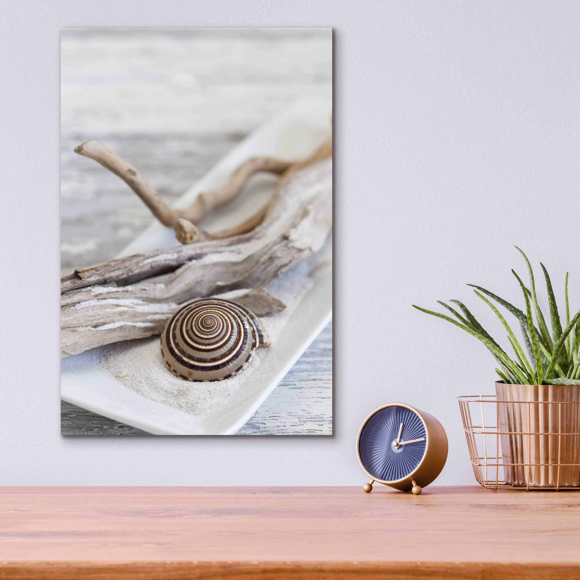 Epic Art 'Zen Style Driftwood Seashell Still' by Andrea Haase Acrylic Glass Wall Art,12x16