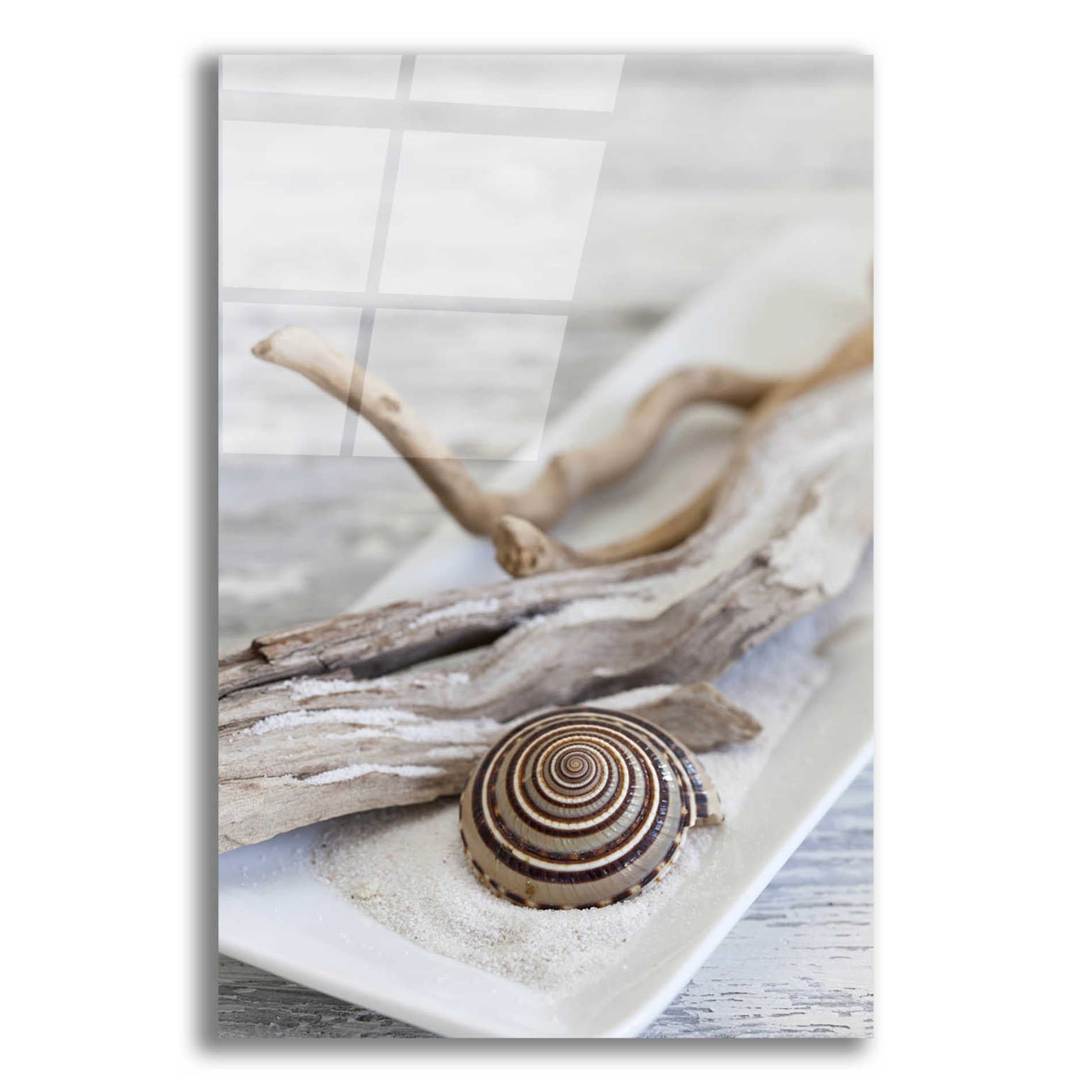 Epic Art 'Zen Style Driftwood Seashell Still' by Andrea Haase Acrylic Glass Wall Art,12x16