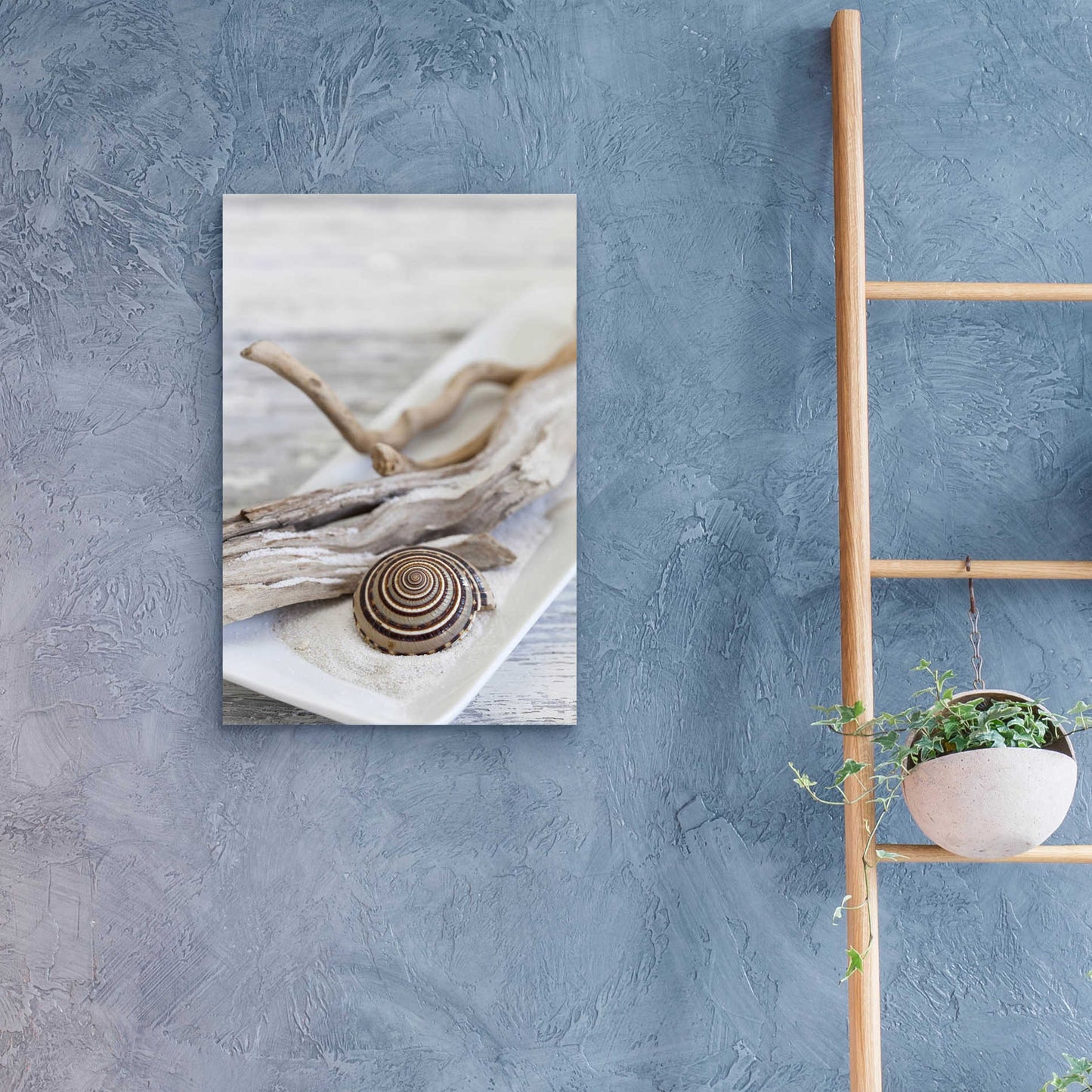 Epic Art 'Zen Style Driftwood Seashell Still' by Andrea Haase Acrylic Glass Wall Art,16x24