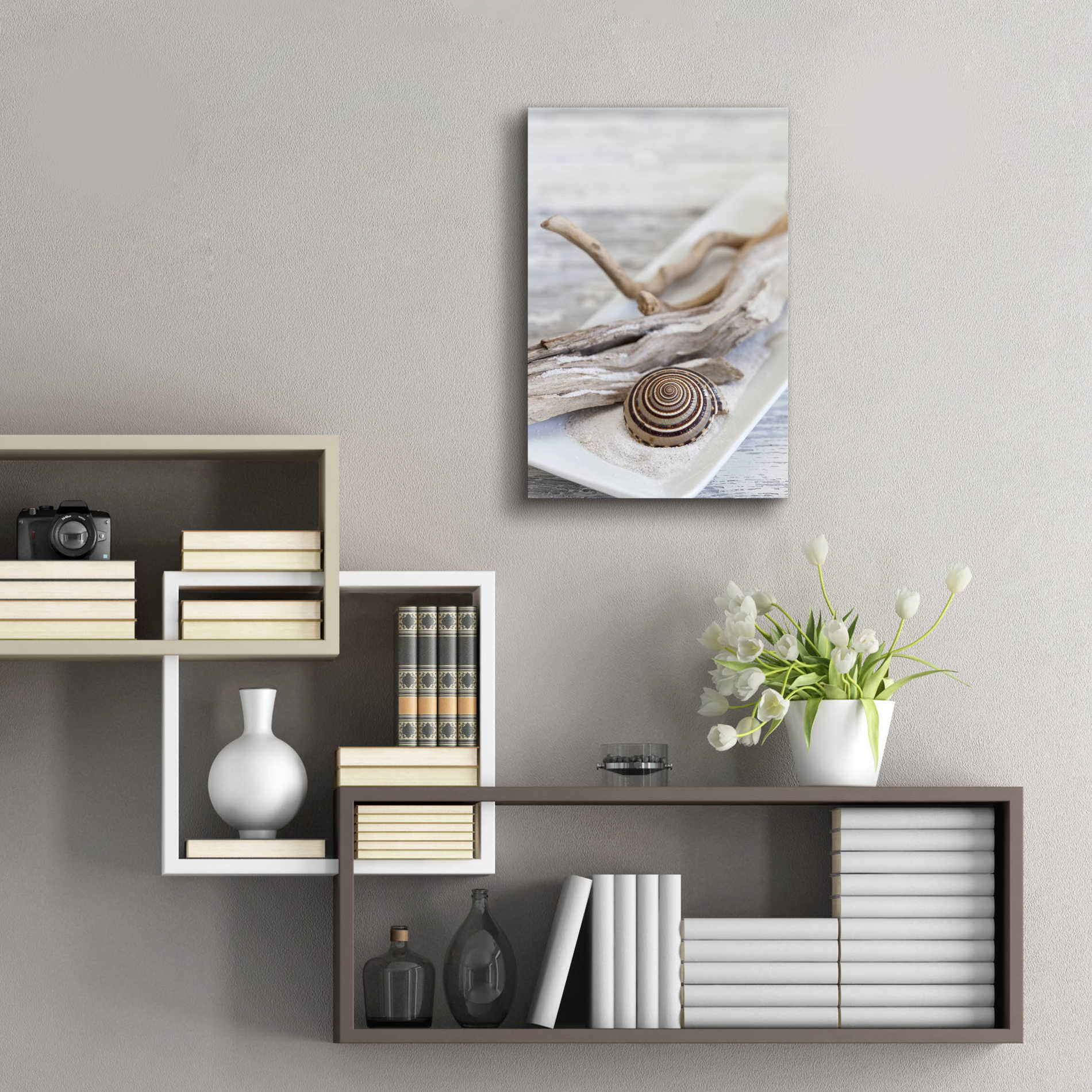 Epic Art 'Zen Style Driftwood Seashell Still' by Andrea Haase Acrylic Glass Wall Art,16x24