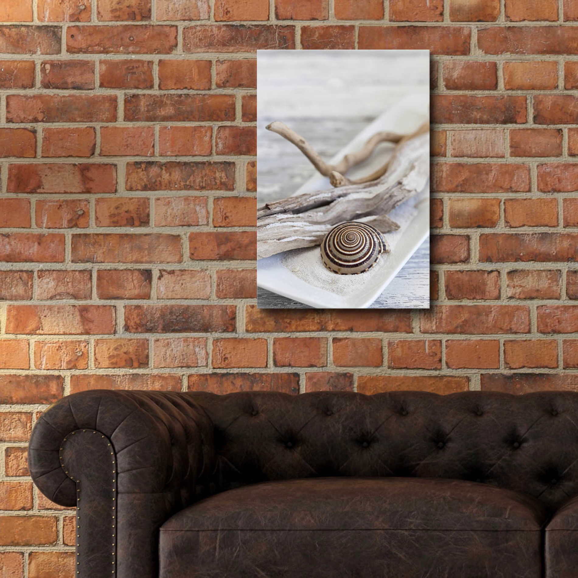 Epic Art 'Zen Style Driftwood Seashell Still' by Andrea Haase Acrylic Glass Wall Art,16x24