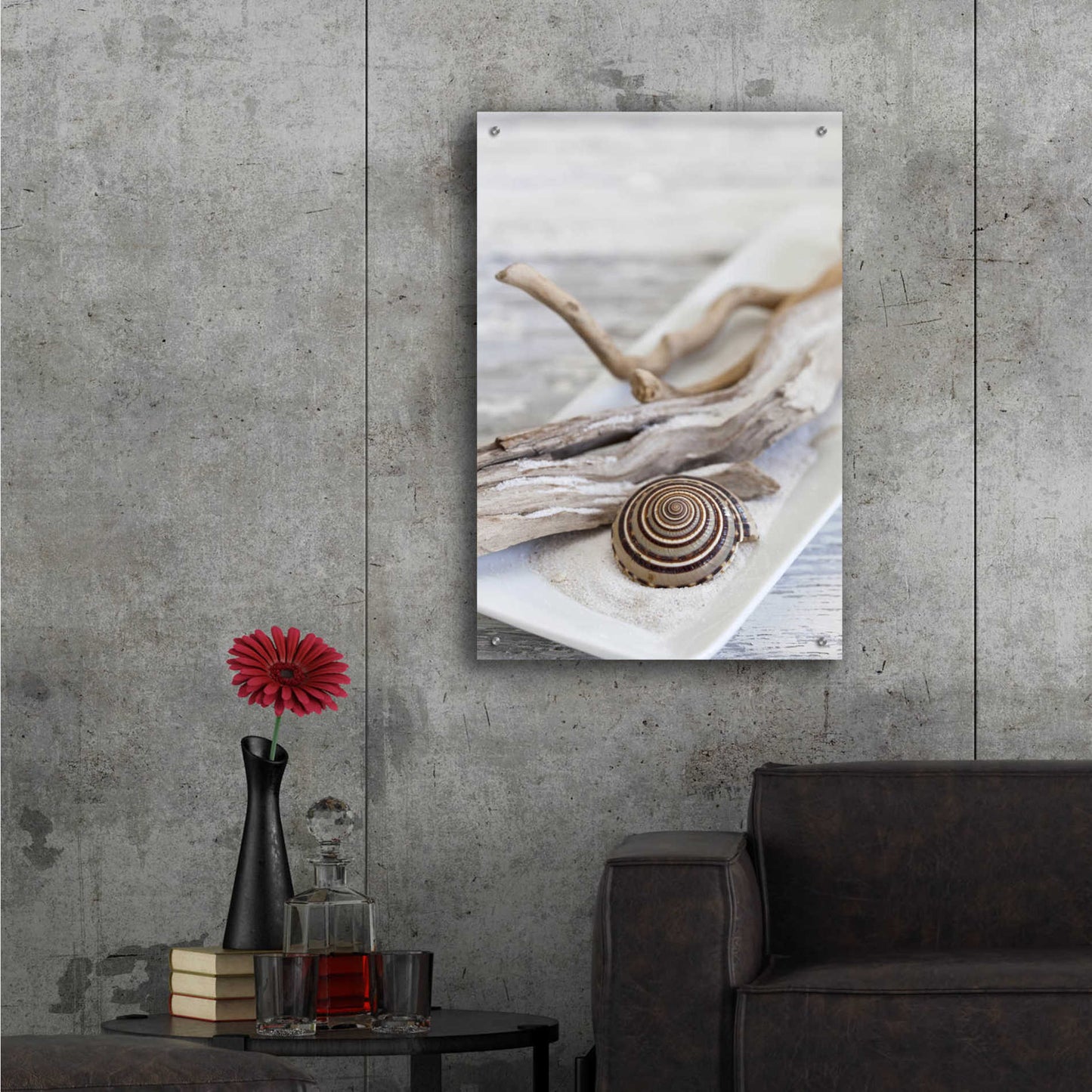 Epic Art 'Zen Style Driftwood Seashell Still' by Andrea Haase Acrylic Glass Wall Art,24x36