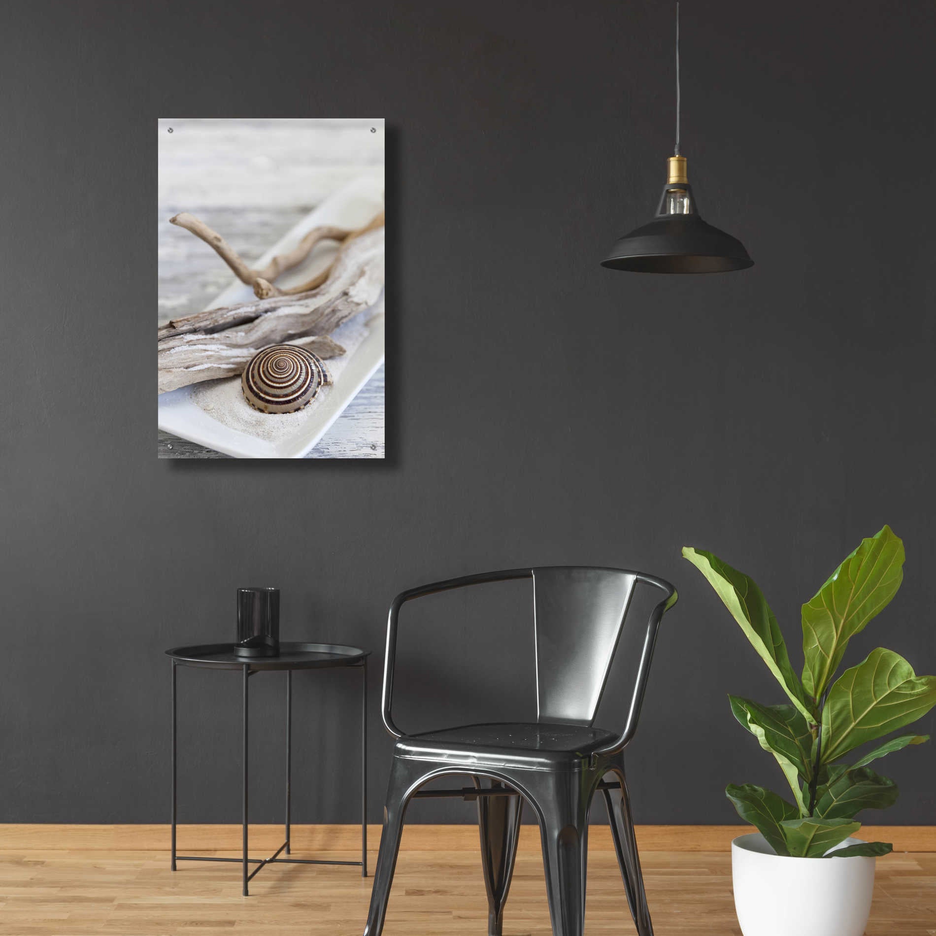 Epic Art 'Zen Style Driftwood Seashell Still' by Andrea Haase Acrylic Glass Wall Art,24x36