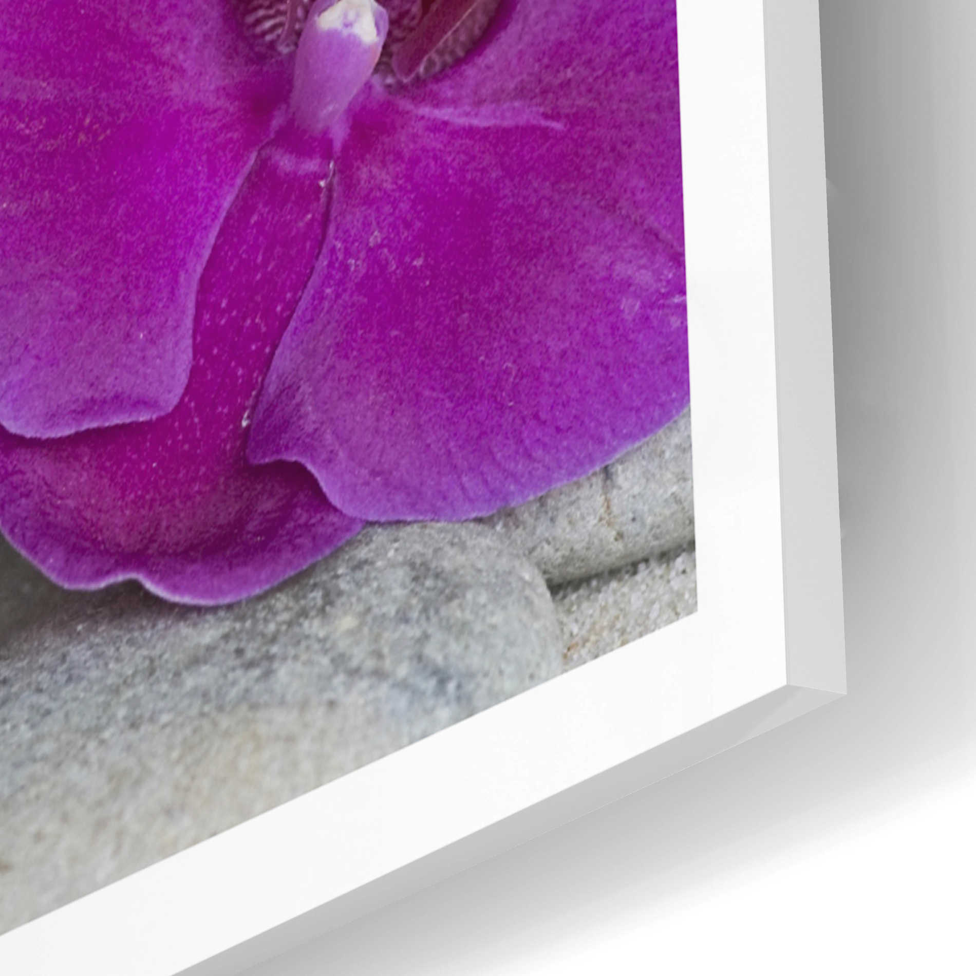 Epic Art 'Zen Orchid Collage' by Andrea Haase Acrylic Glass Wall Art,12x12