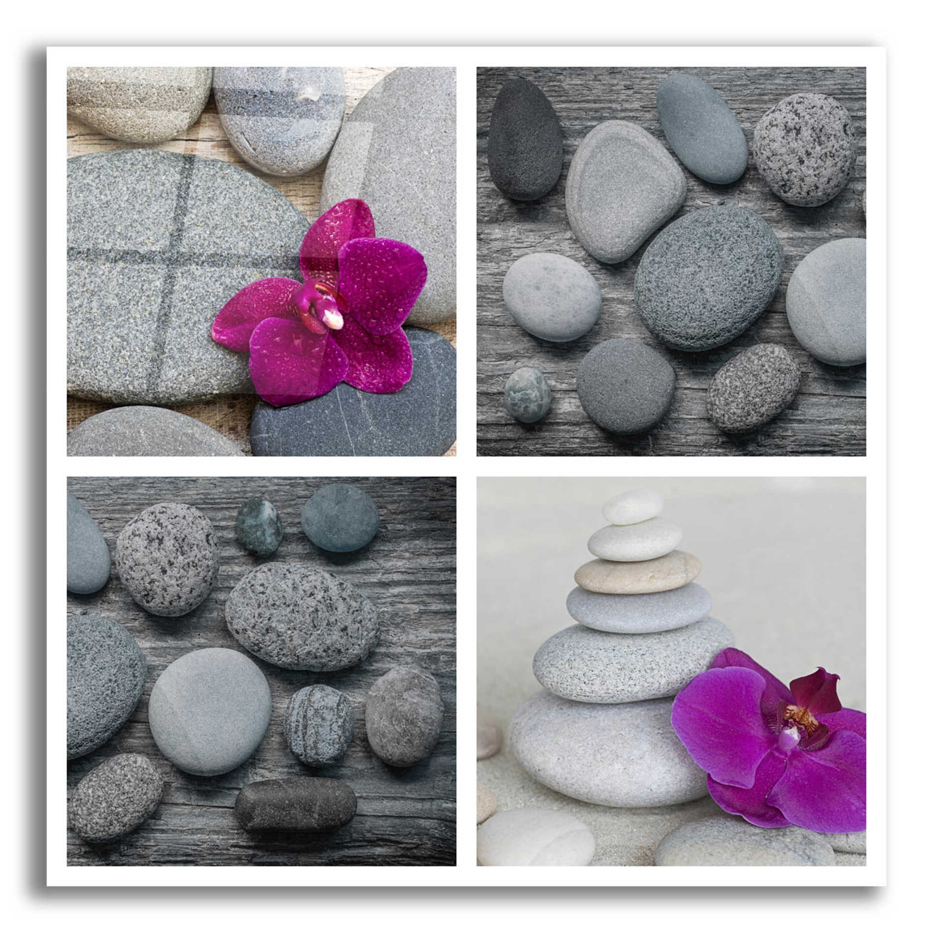 Epic Art 'Zen Orchid Collage' by Andrea Haase Acrylic Glass Wall Art,12x12