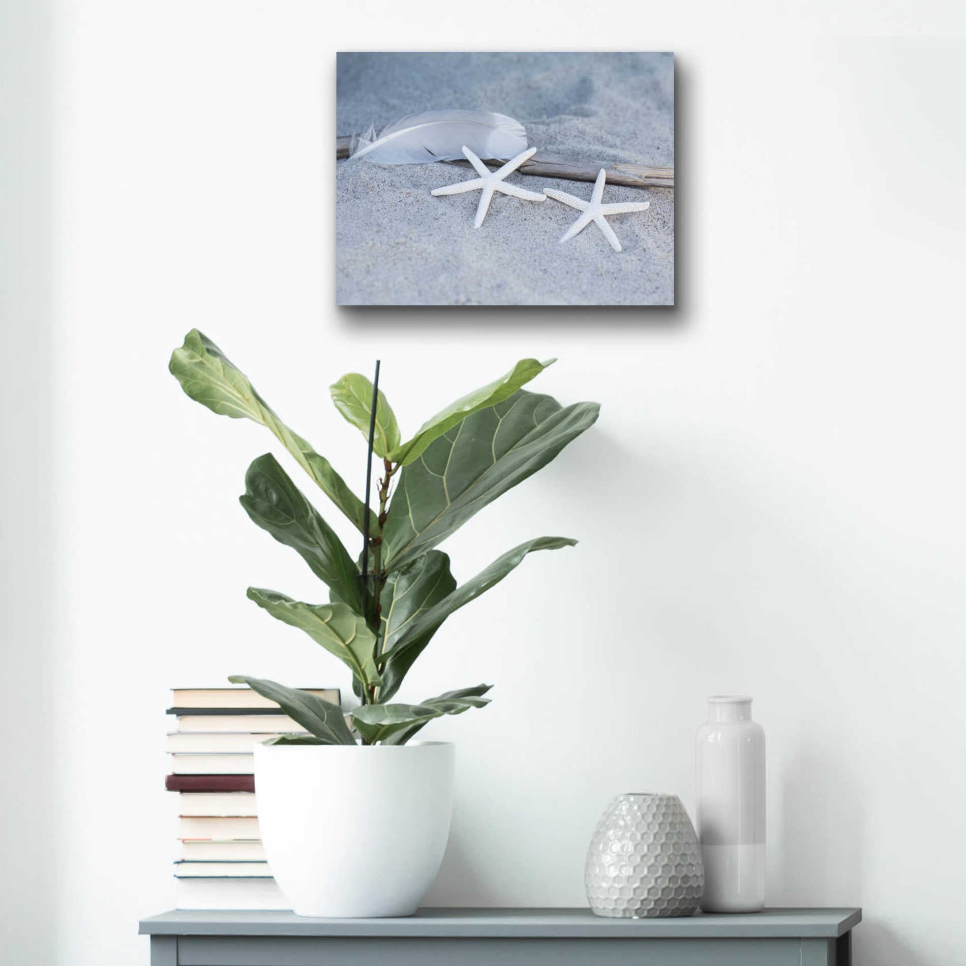 Epic Art 'Starfish Feather Beach Still' by Andrea Haase Acrylic Glass Wall Art,16x12