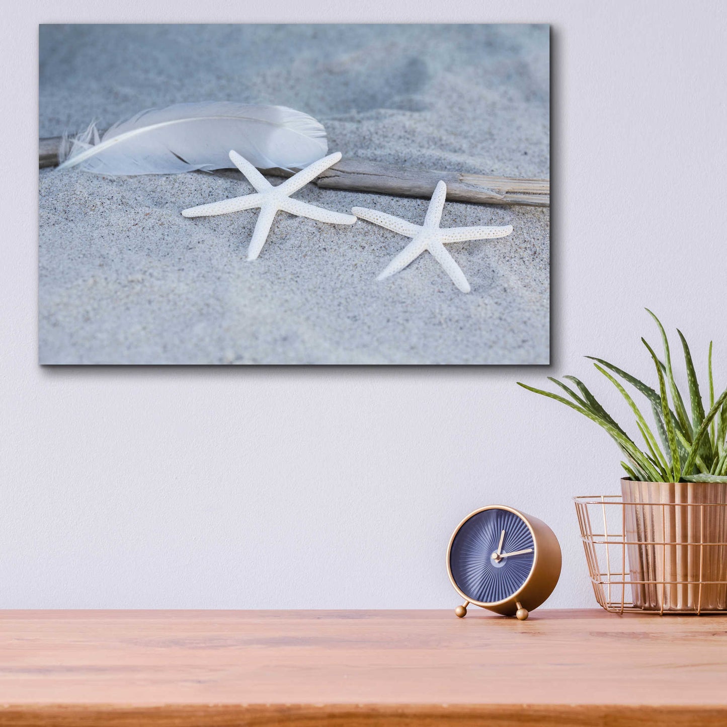 Epic Art 'Starfish Feather Beach Still' by Andrea Haase Acrylic Glass Wall Art,16x12