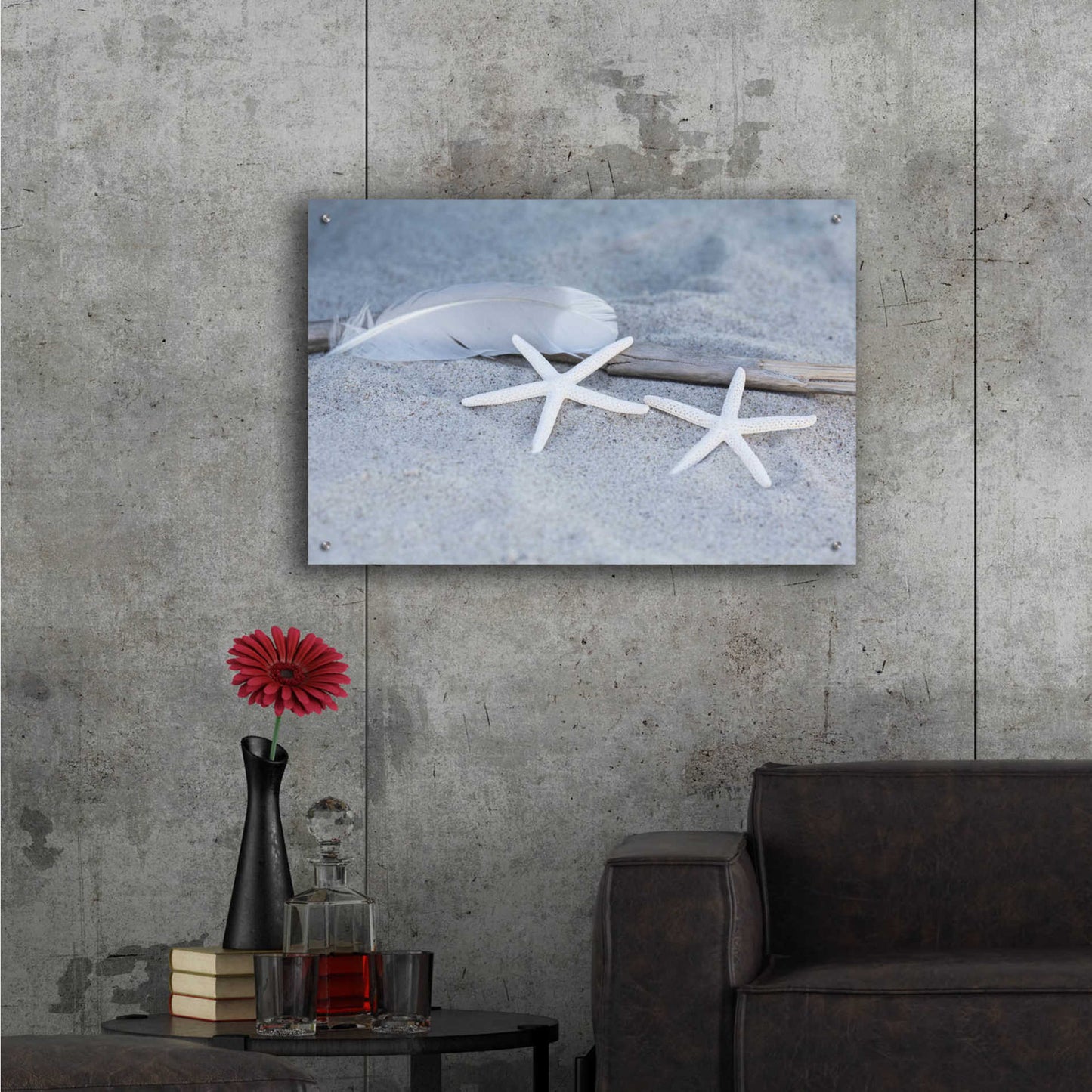 Epic Art 'Starfish Feather Beach Still' by Andrea Haase Acrylic Glass Wall Art,36x24