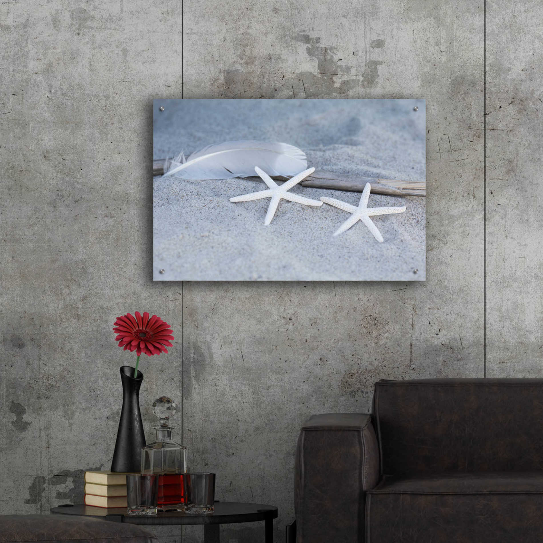 Epic Art 'Starfish Feather Beach Still' by Andrea Haase Acrylic Glass Wall Art,36x24