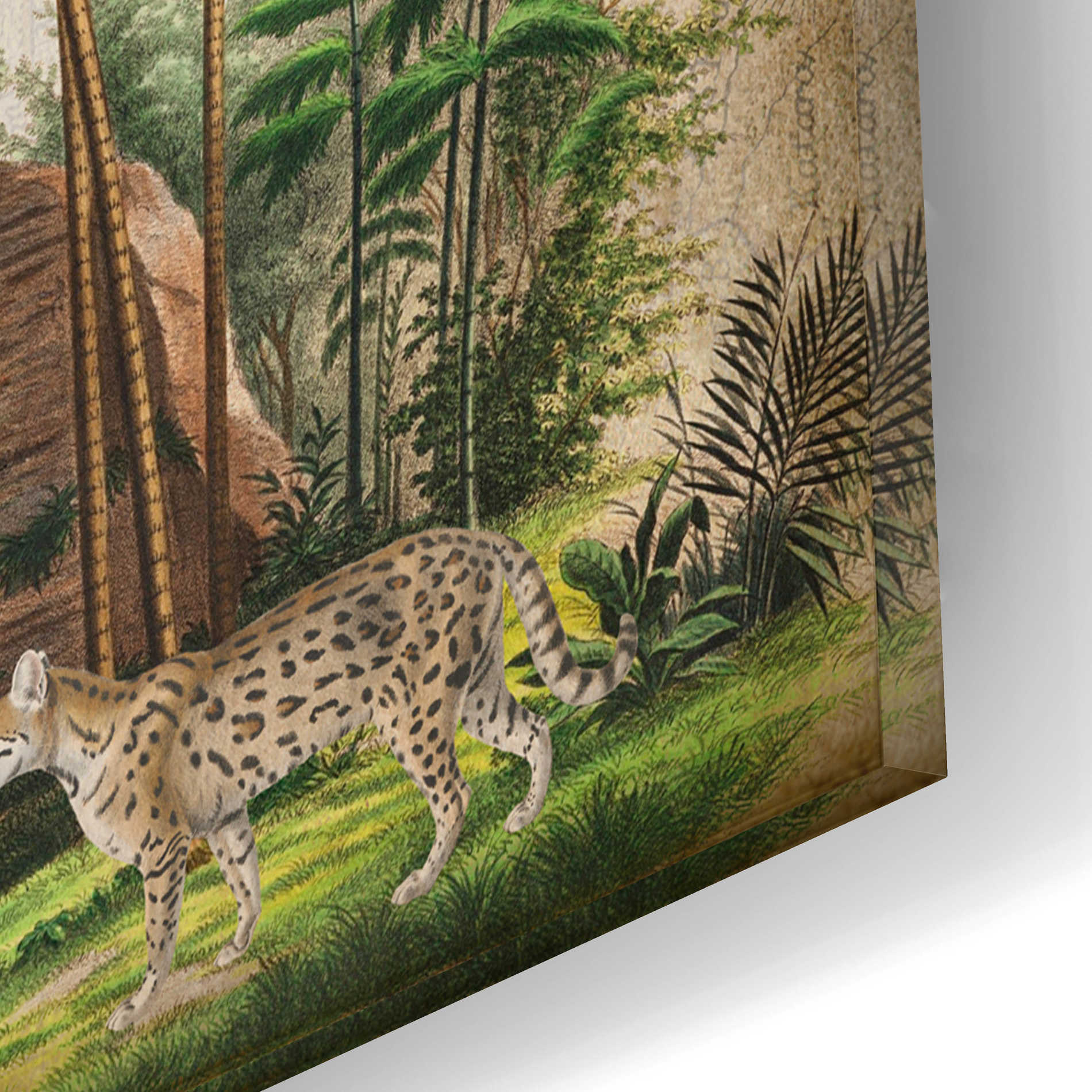 Epic Art 'Wild Animals Paradise Green' by Andrea Haase Acrylic Glass Wall Art,16x12