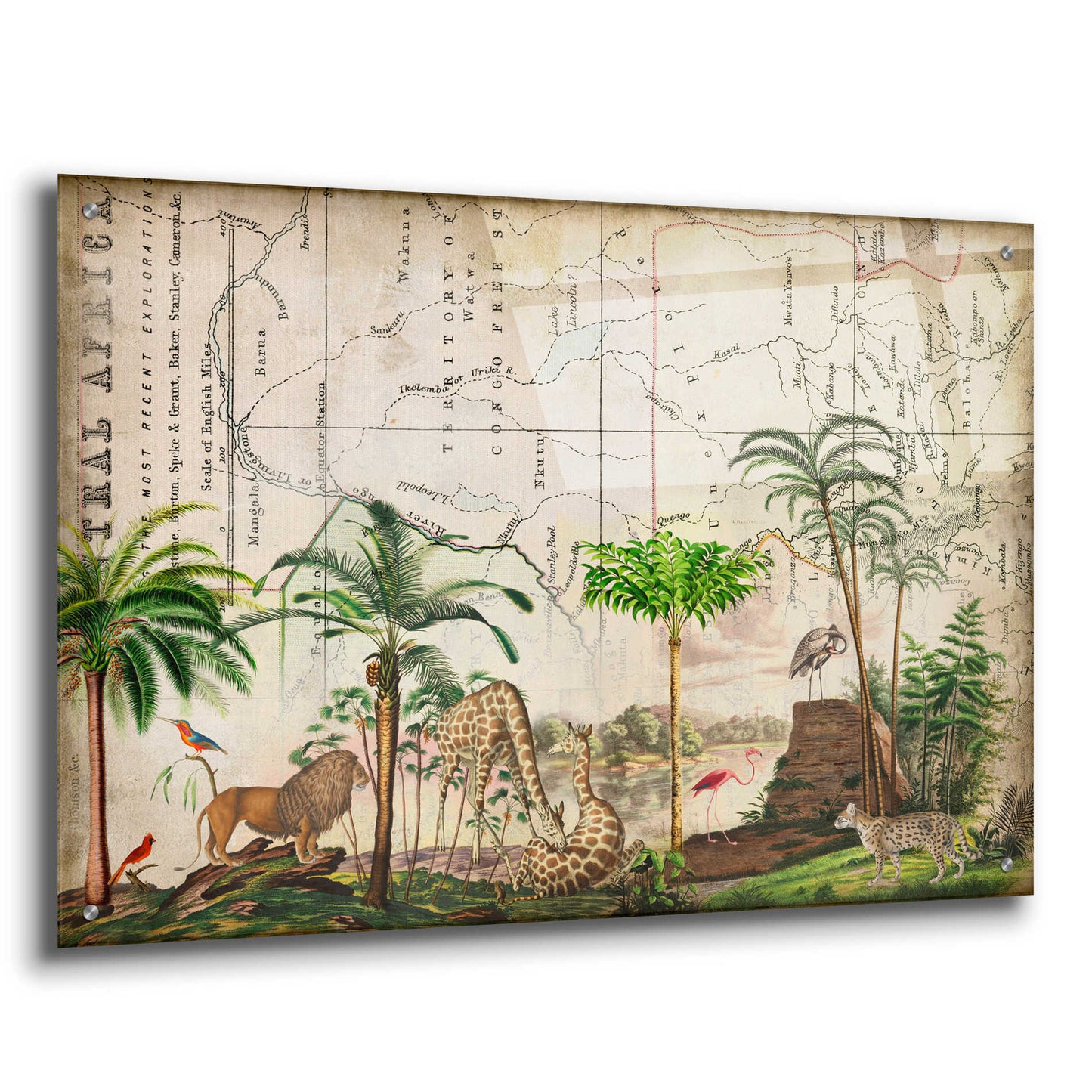 Epic Art 'Wild Animals Paradise Green' by Andrea Haase Acrylic Glass Wall Art,36x24