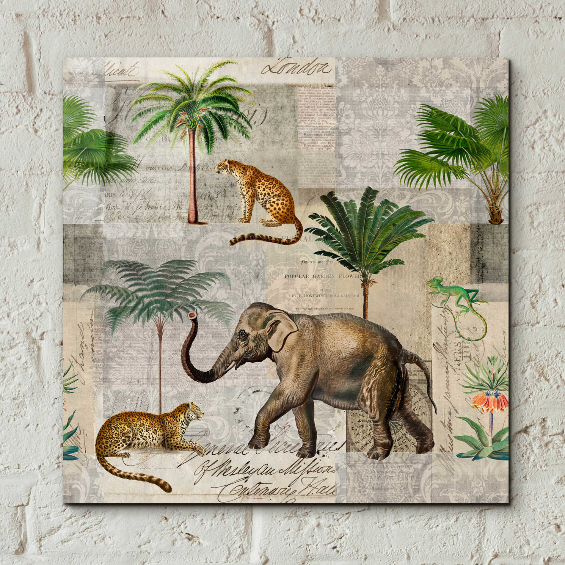 Epic Art 'The Magic Of Africa' by Andrea Haase Acrylic Glass Wall Art,12x12