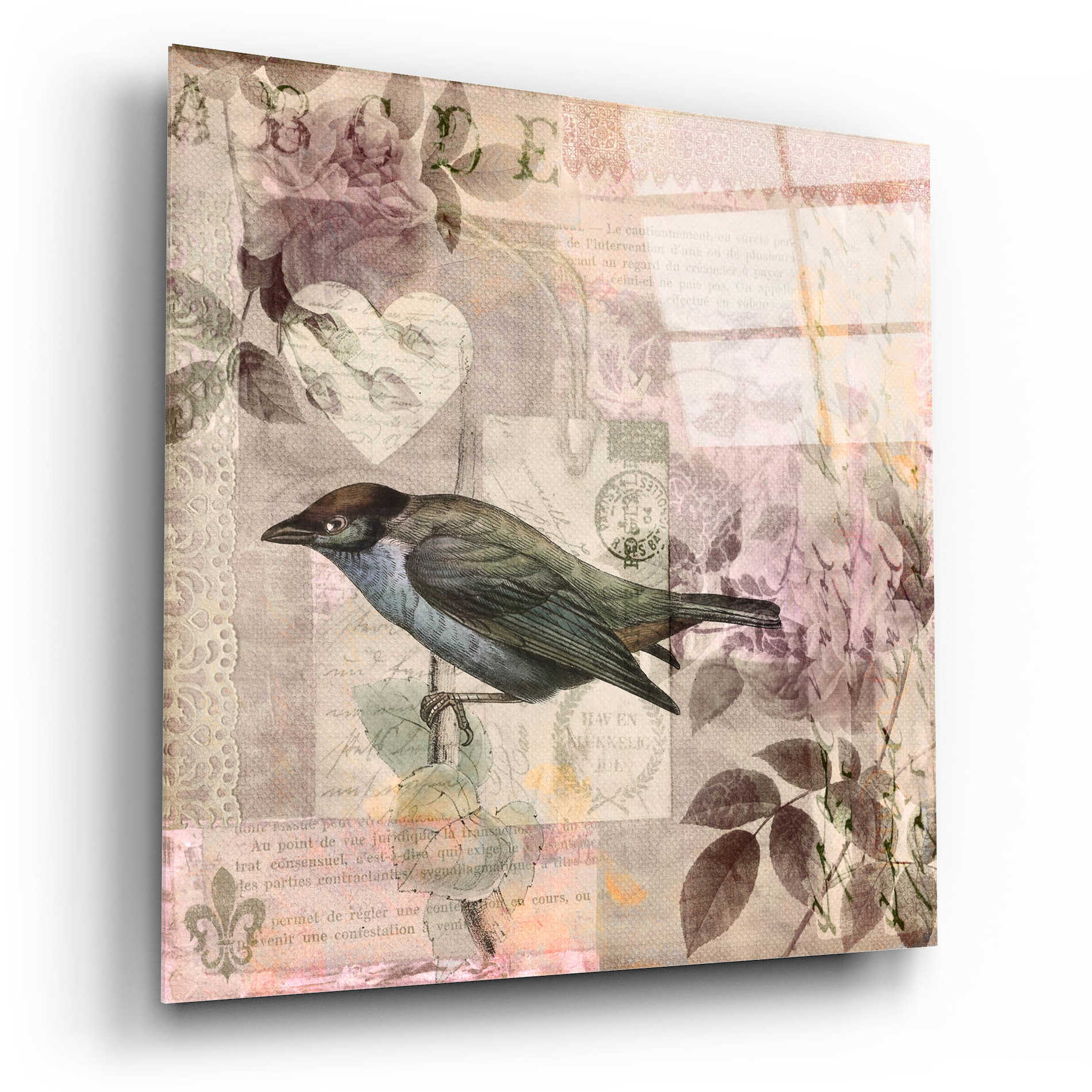 Epic Art 'Nostalgic Bird Collage' by Andrea Haase Acrylic Glass Wall Art,12x12