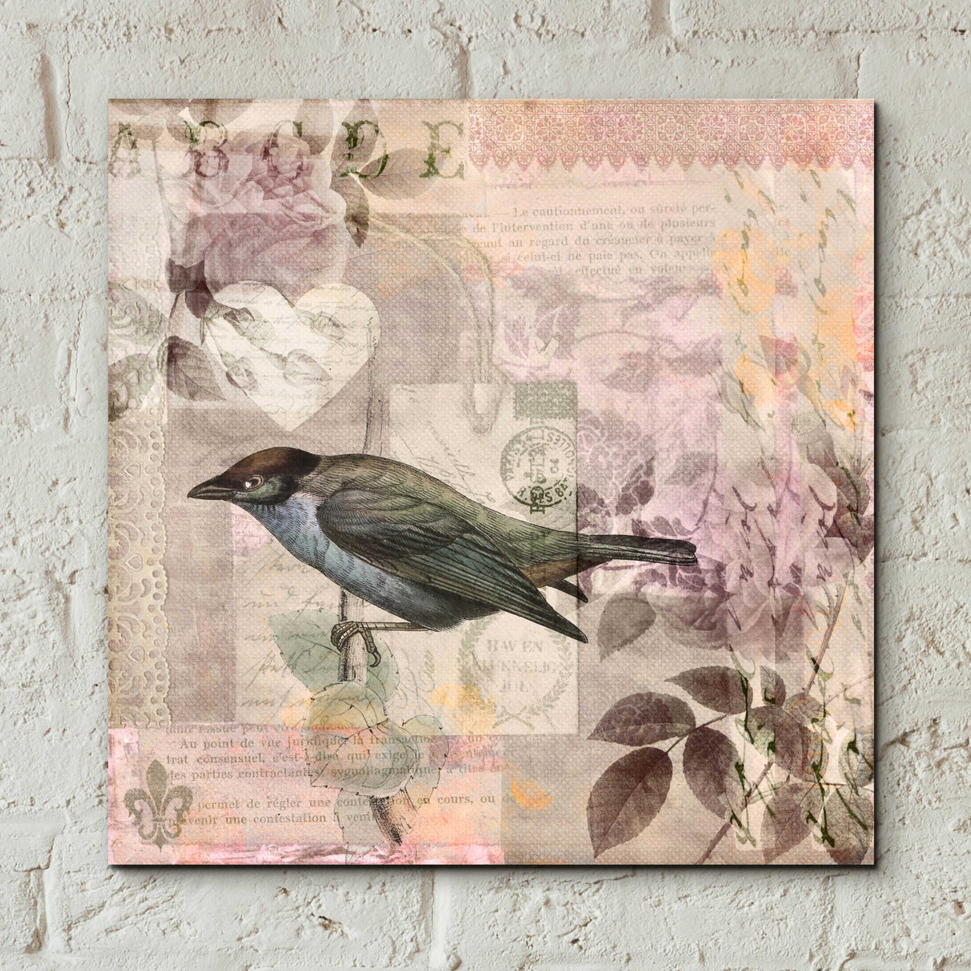 Epic Art 'Nostalgic Bird Collage' by Andrea Haase Acrylic Glass Wall Art,12x12