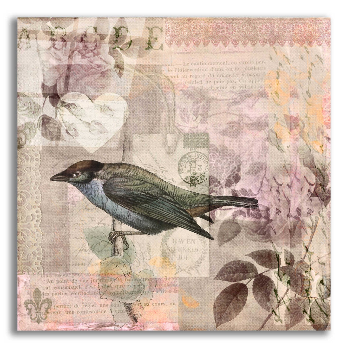 Epic Art 'Nostalgic Bird Collage' by Andrea Haase Acrylic Glass Wall Art,12x12