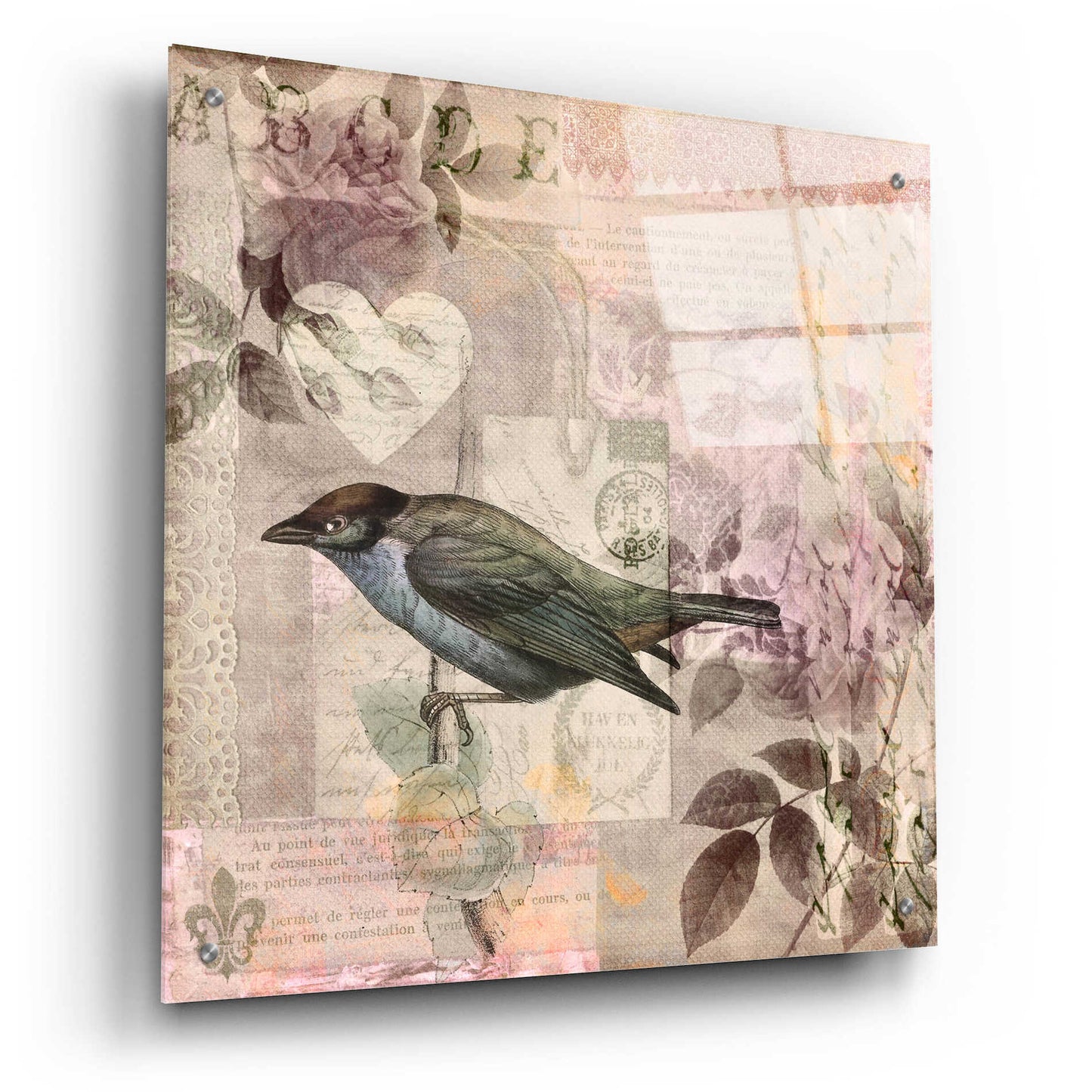 Epic Art 'Nostalgic Bird Collage' by Andrea Haase Acrylic Glass Wall Art,24x24