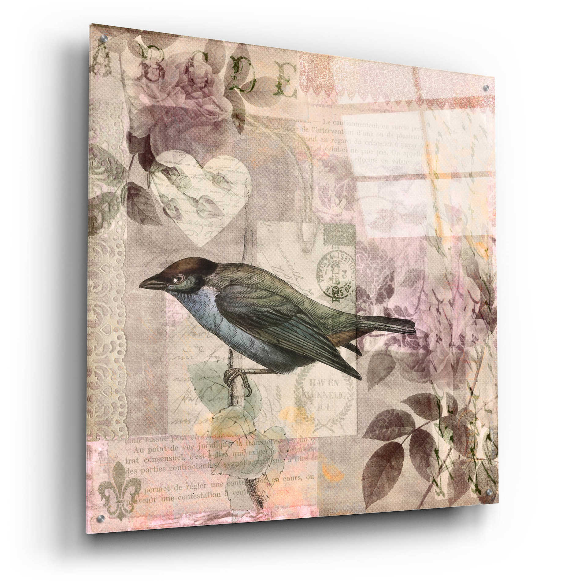 Epic Art 'Nostalgic Bird Collage' by Andrea Haase Acrylic Glass Wall Art,36x36