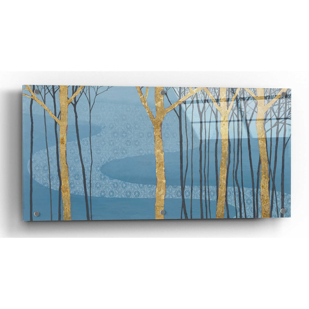 Epic Art 'Katonah Gold' by Katherine Lovell, Acrylic Glass Wall Art,2:1